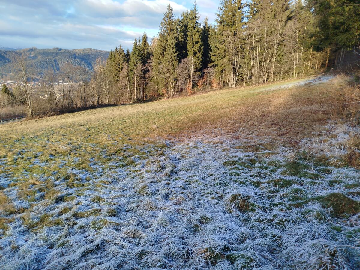 Landwirtschaftliche Nutzfläche 3