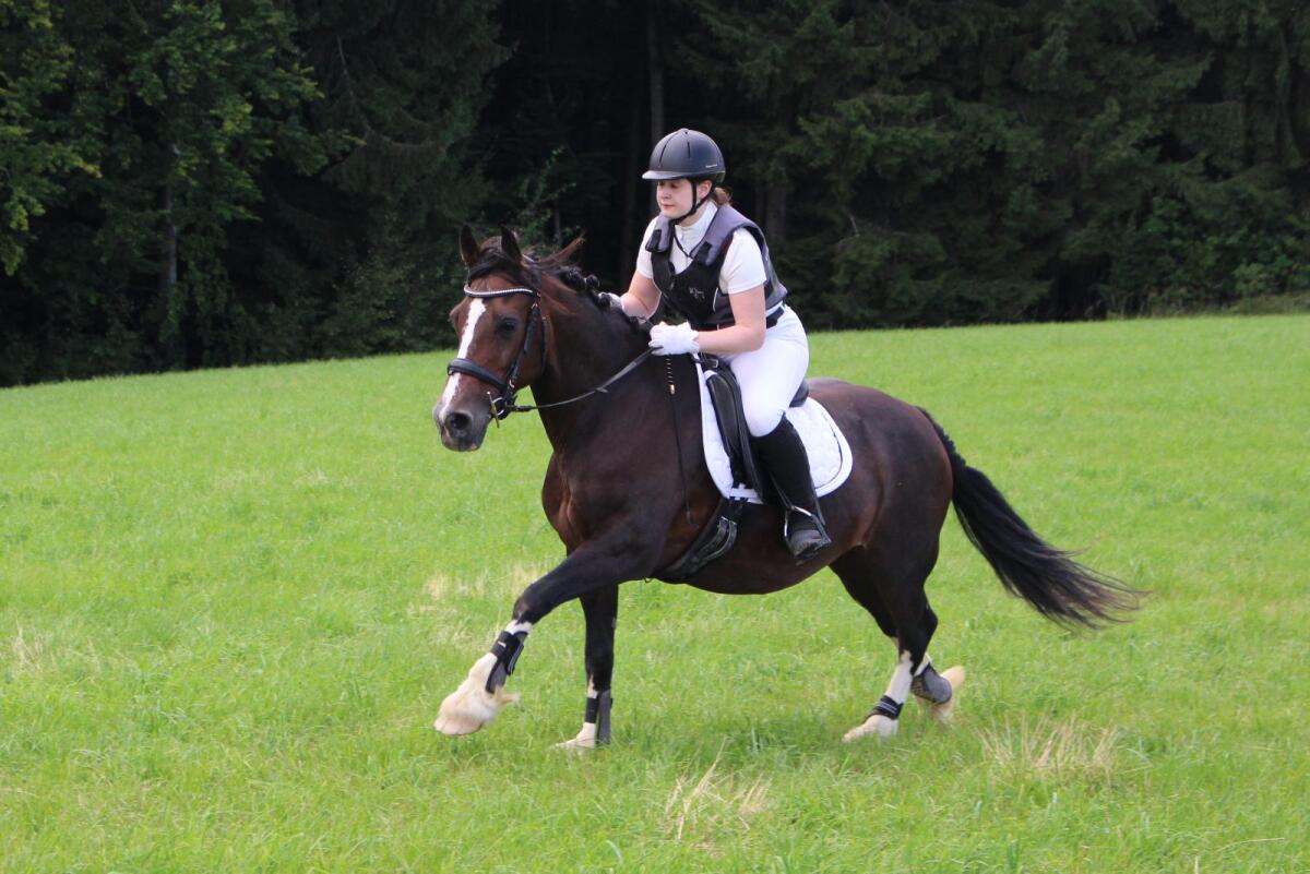 Reitbeteiligung,  MitreiterIn 1