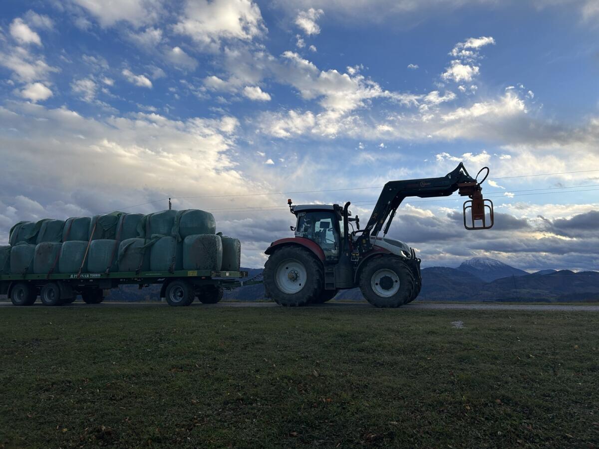 Maissilage, Grassilage, Heu 1