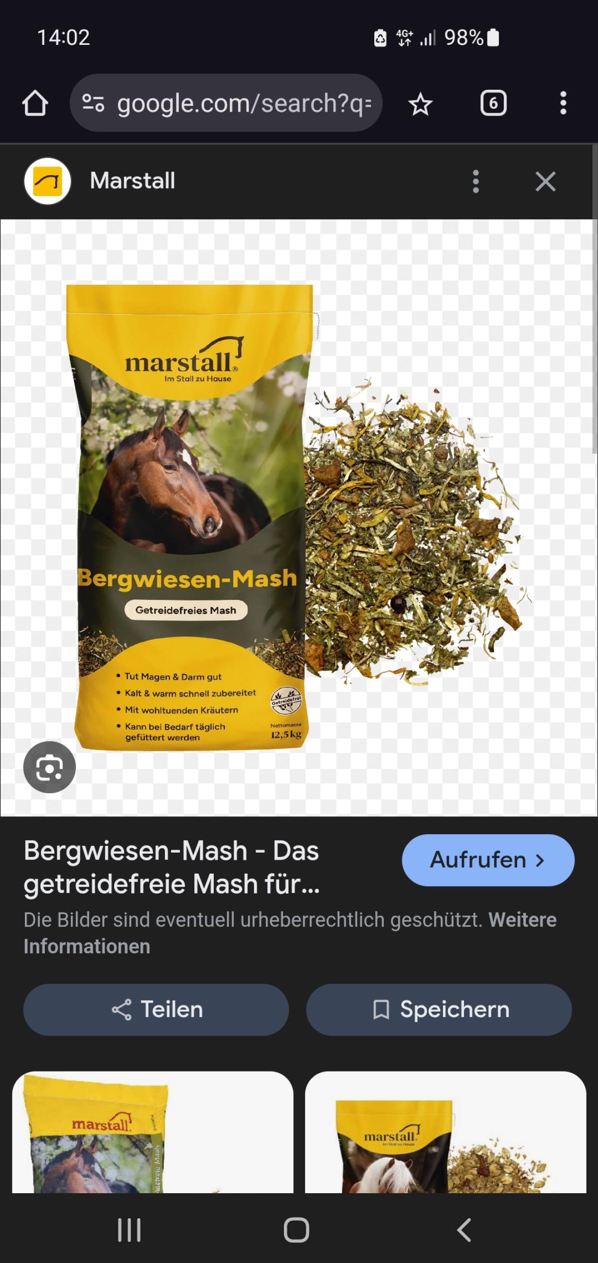 Vollblutaraber Wallach 2