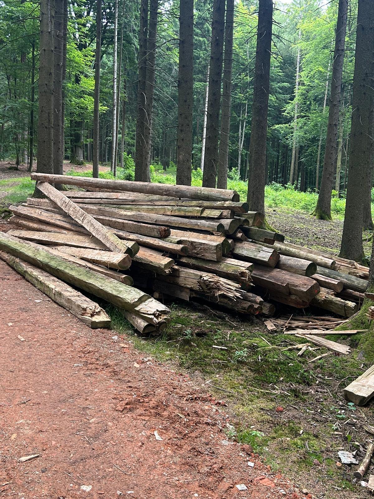Altholz Handgeschlagen 1