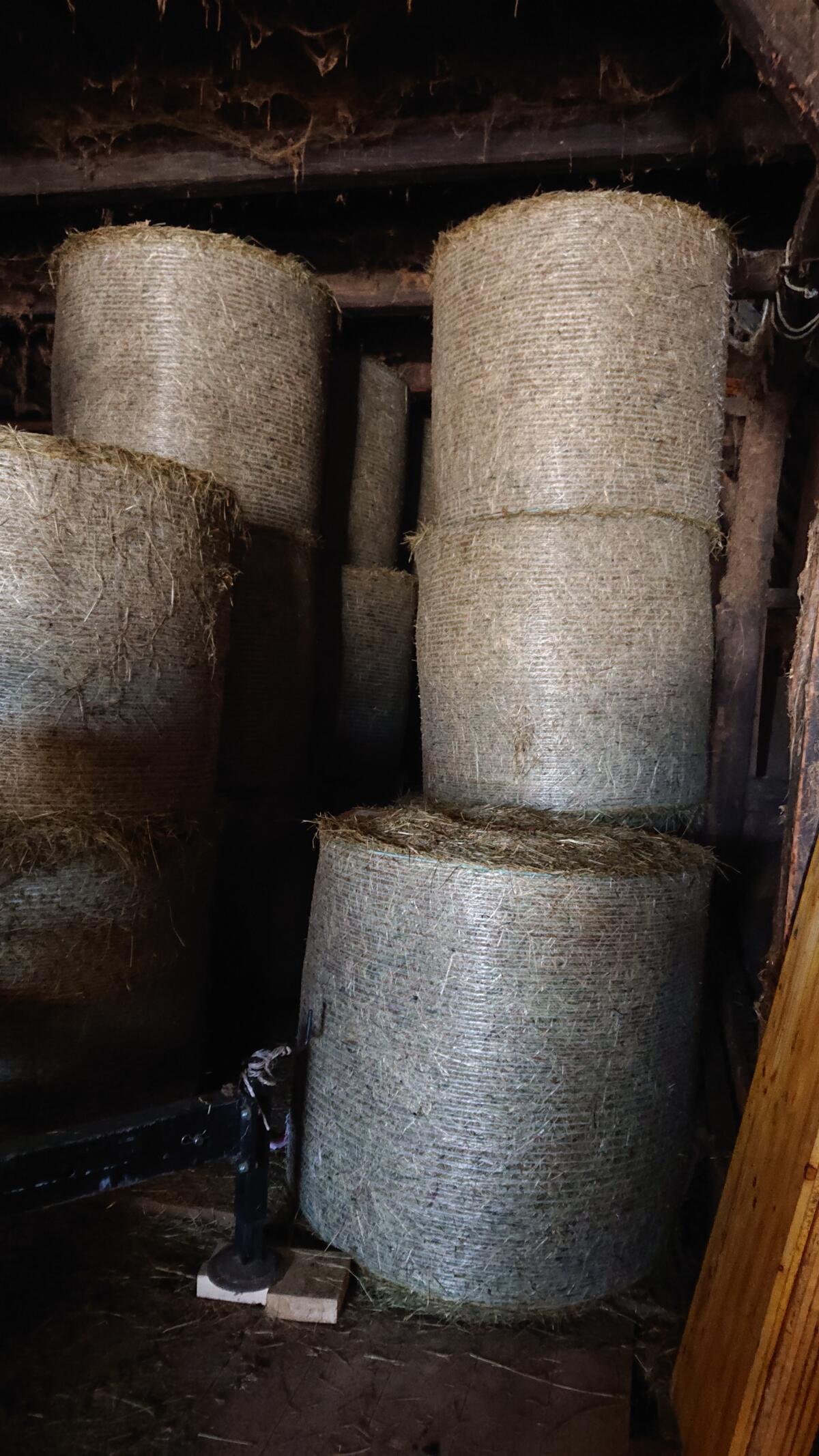 Heurundballen 1. Schnitt 2025 zu verkaufen, trocken gelagert 2