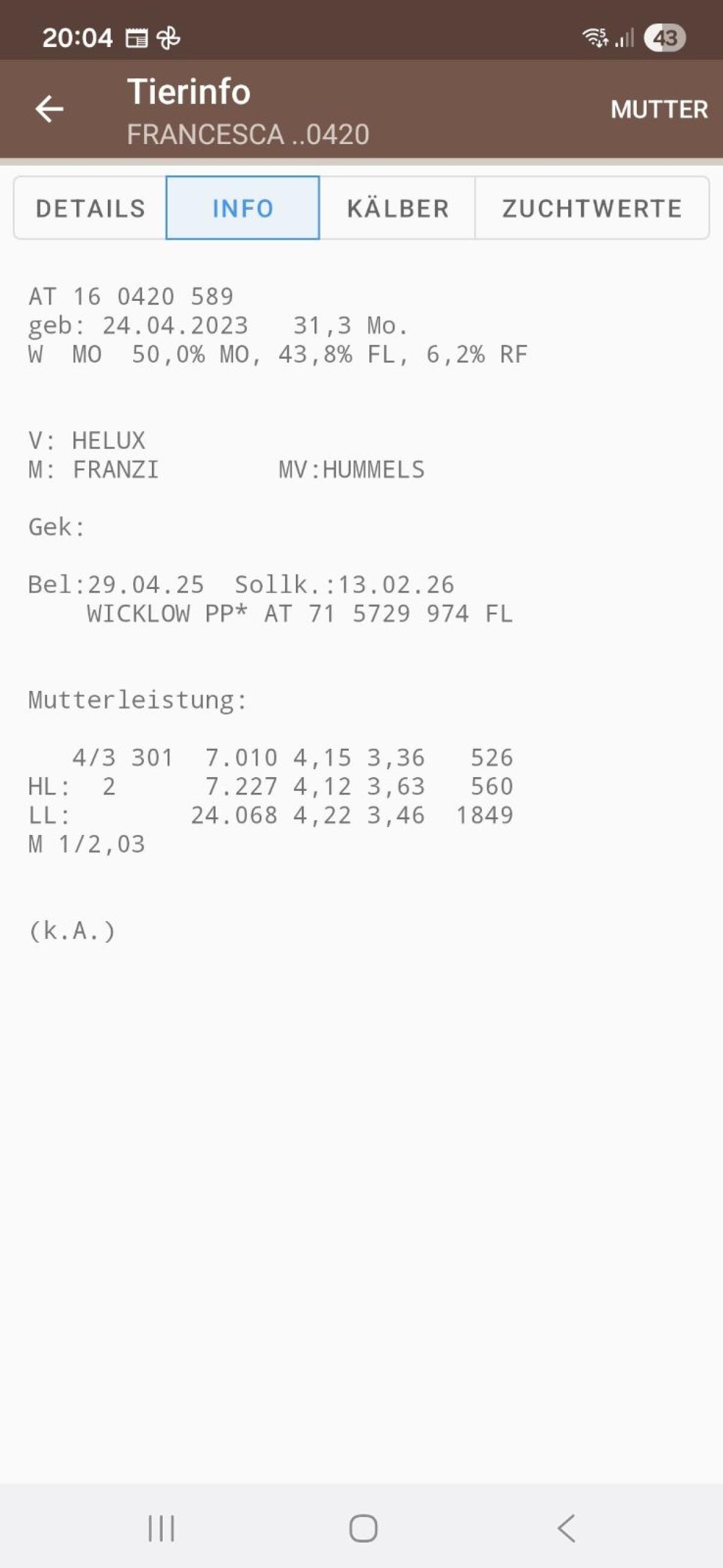 Bio FV x Montbéliarde Kalbin 2