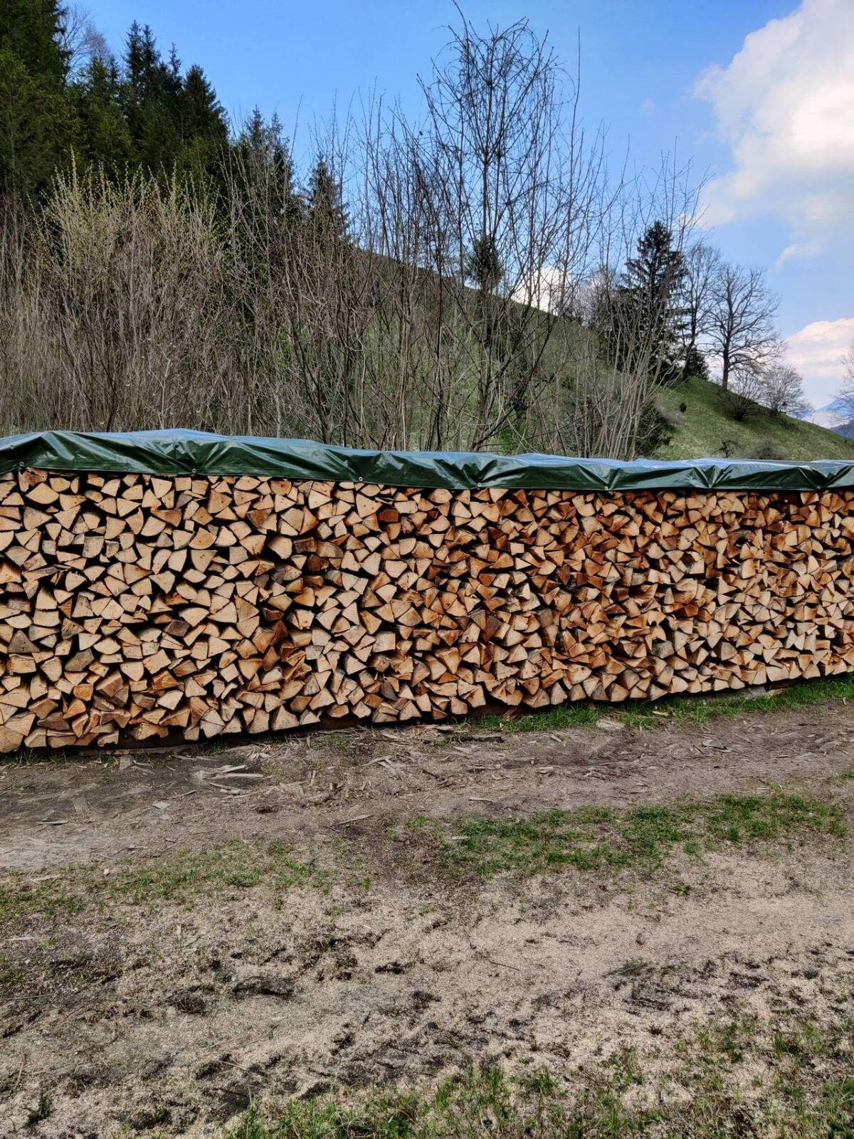 Brennholz - Hartholz 2