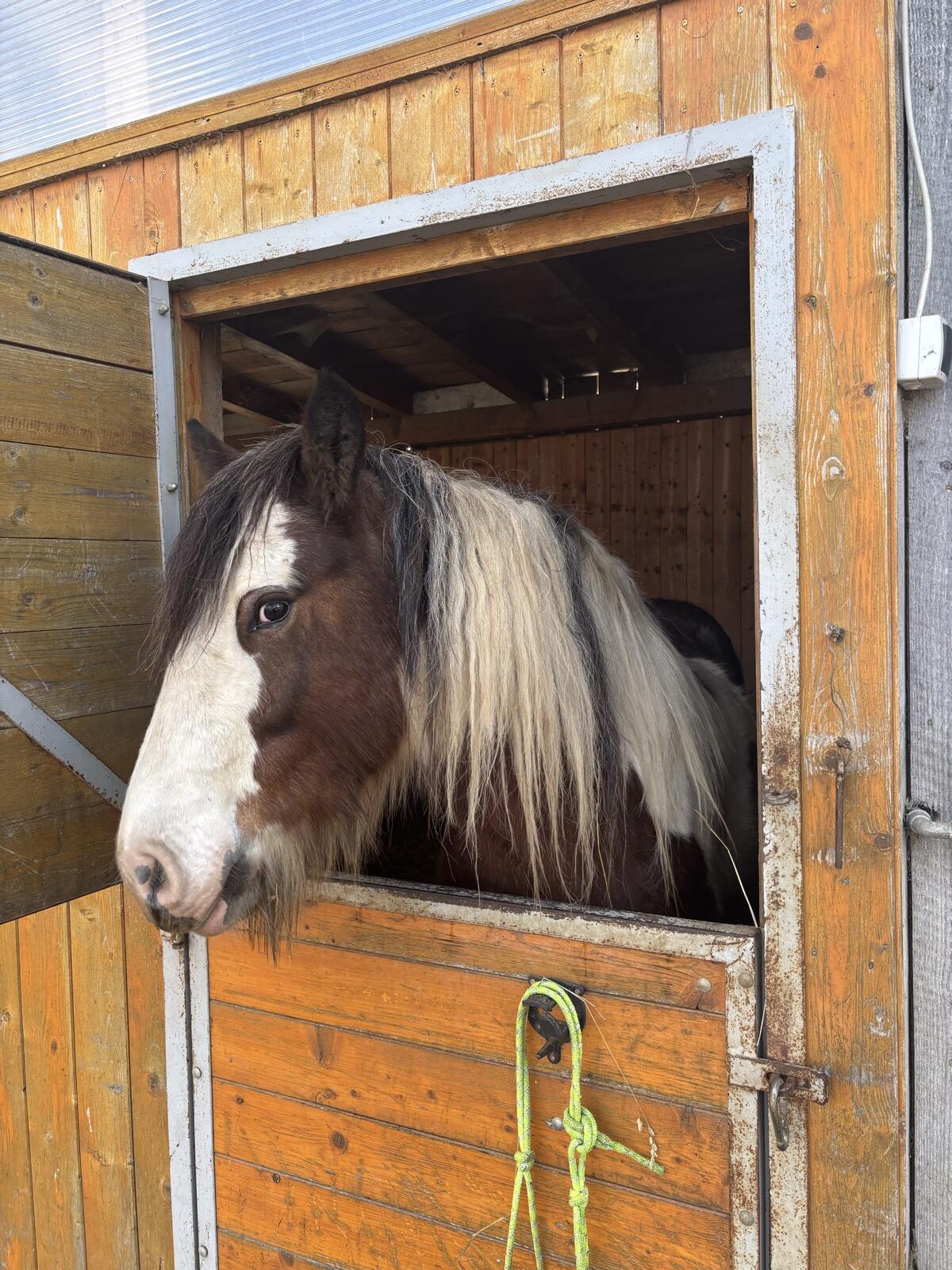Tinker-Wallach zu verkaufen 1