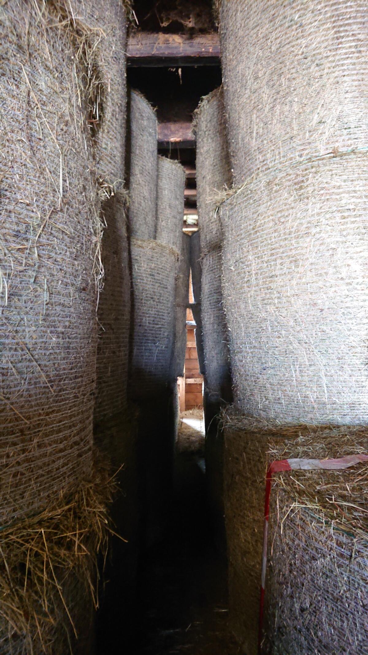 Heurundballen 1. Schnitt 2025 zu verkaufen, trocken gelagert 3