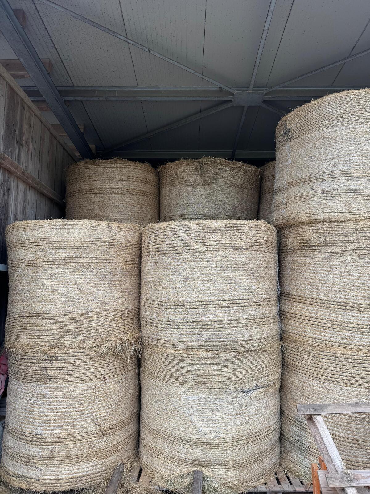 Heuballen 1. Schnitt 1