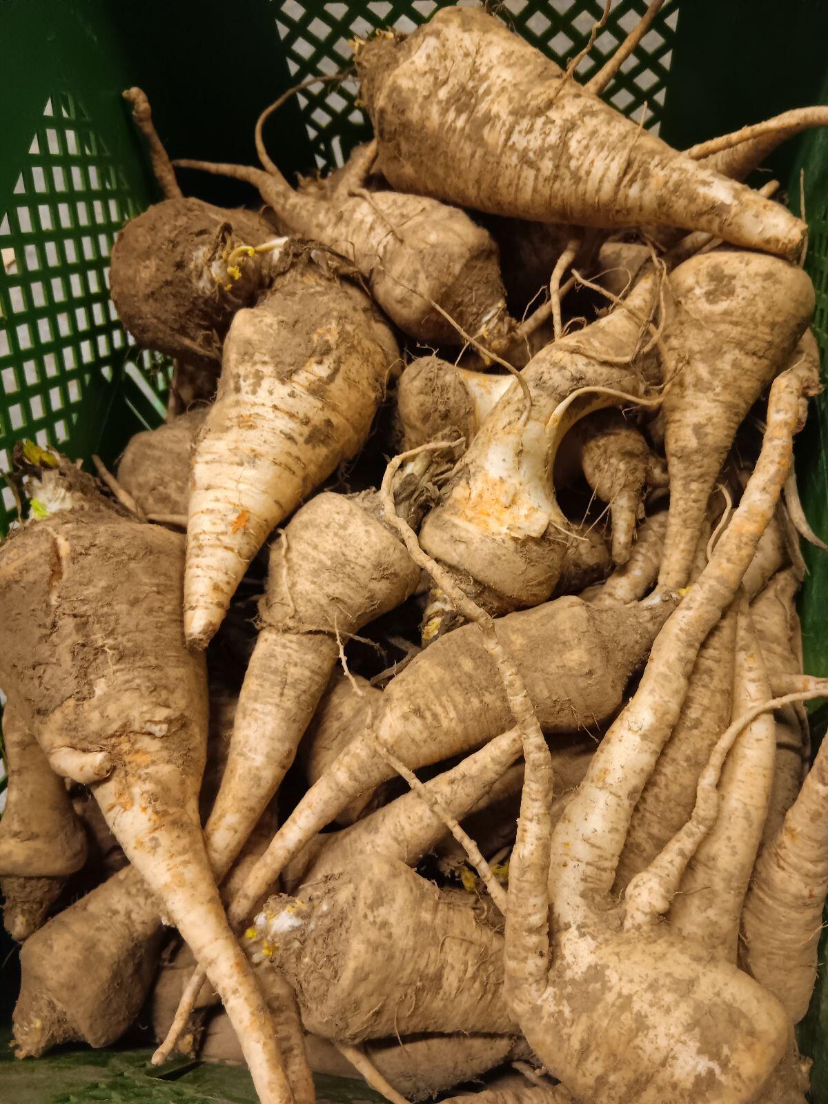 Bio-Gemüse, Kartoffeln 3