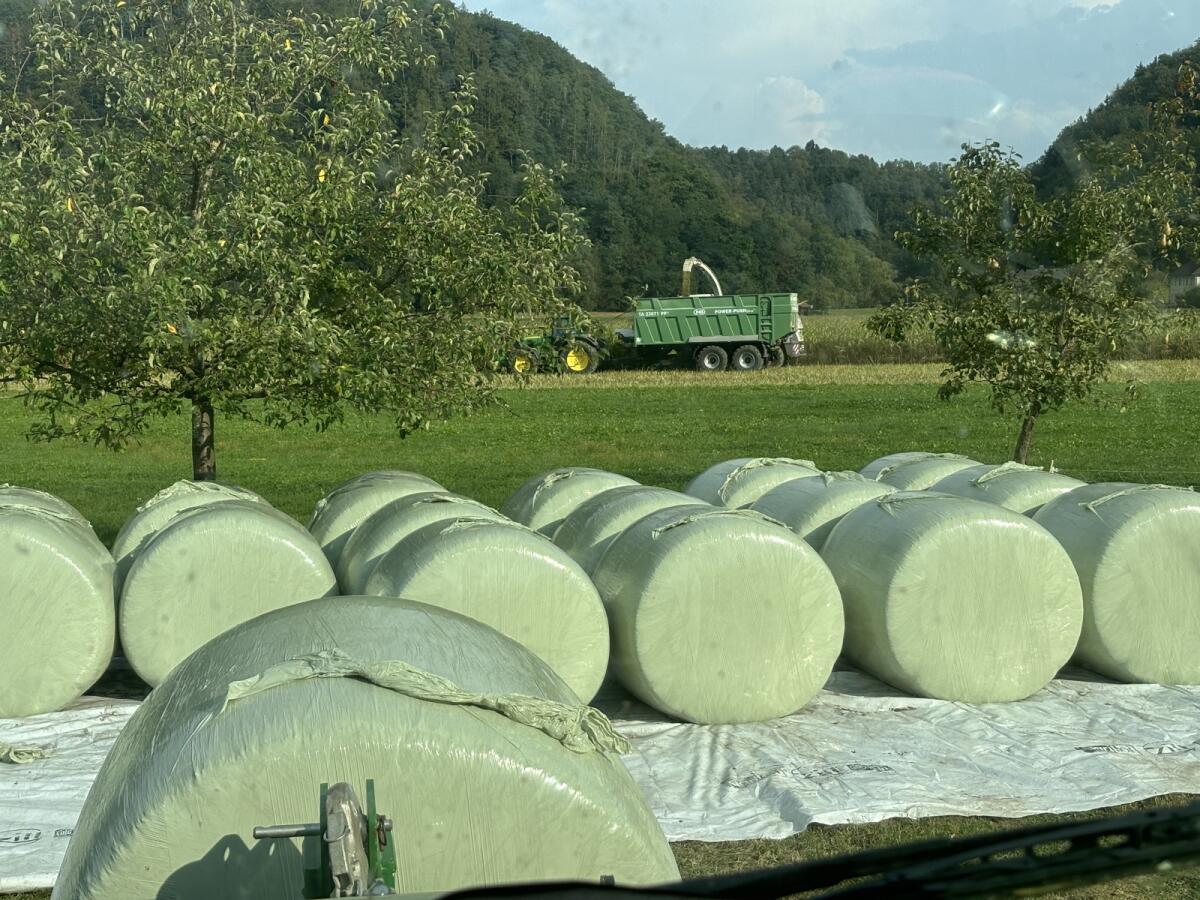 Bio Silomaisballen 2