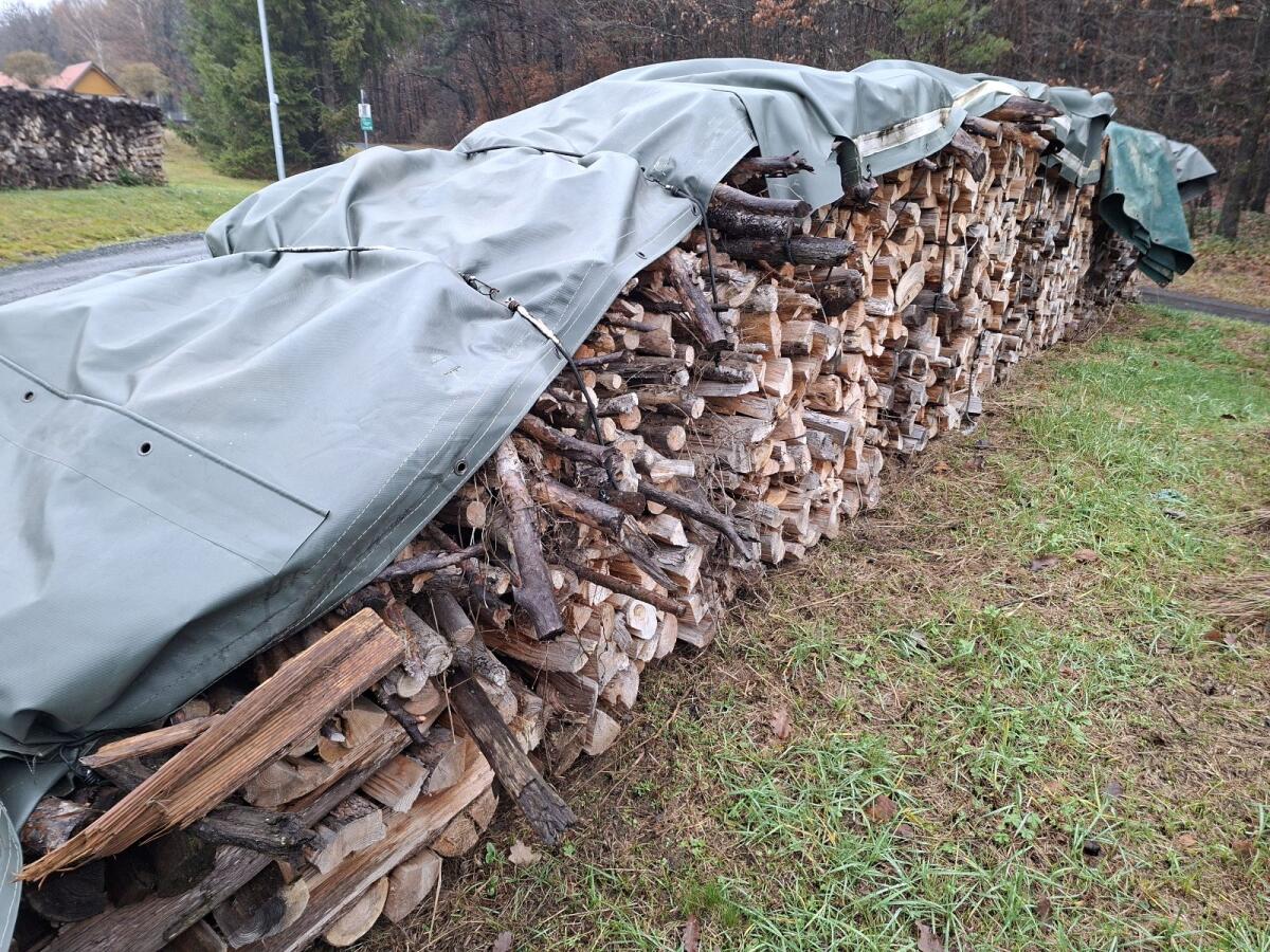 Brennholz Meterholz, Kiefer, 13 m 1