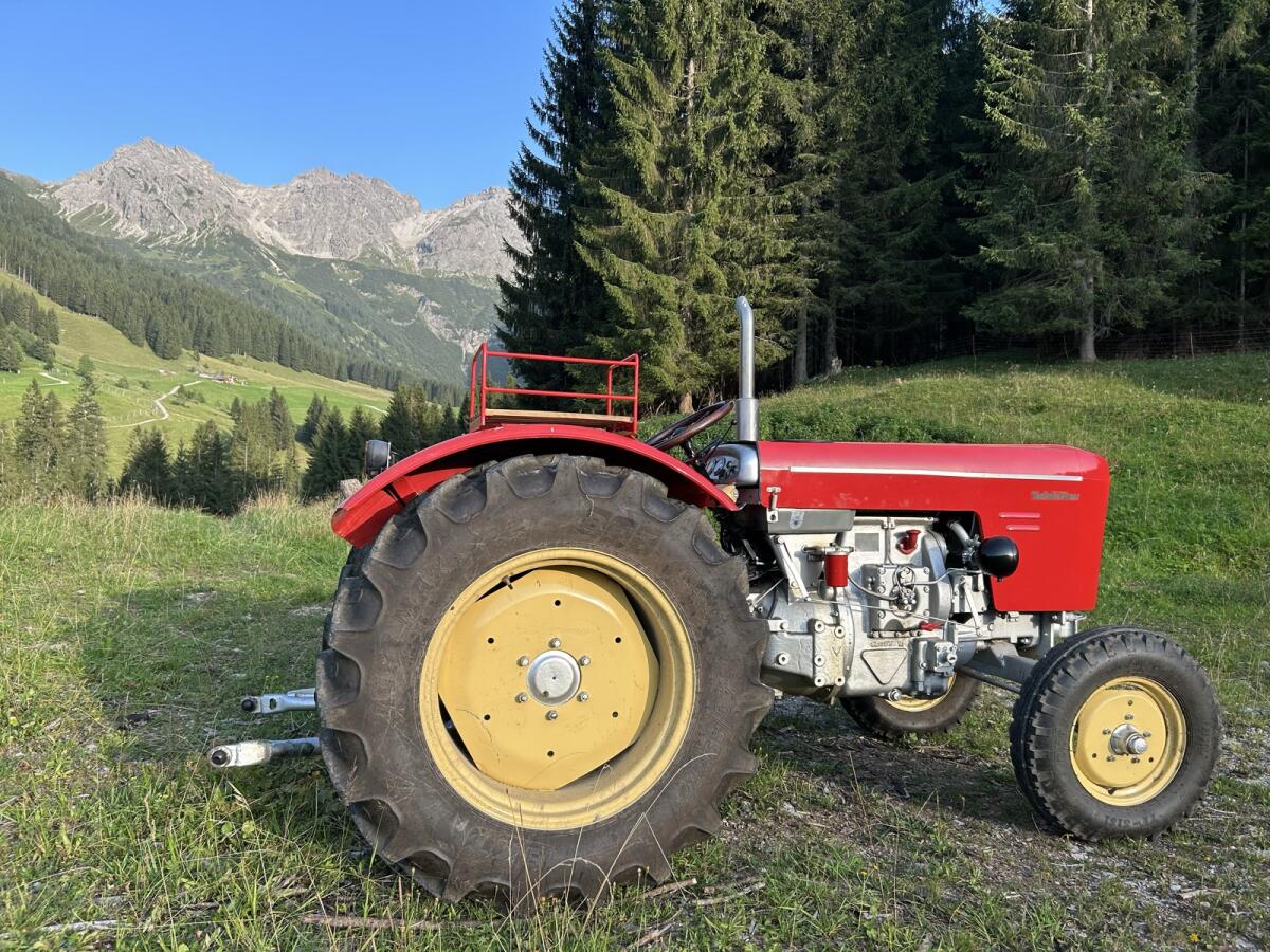 Traktor Schlüter SF303 2