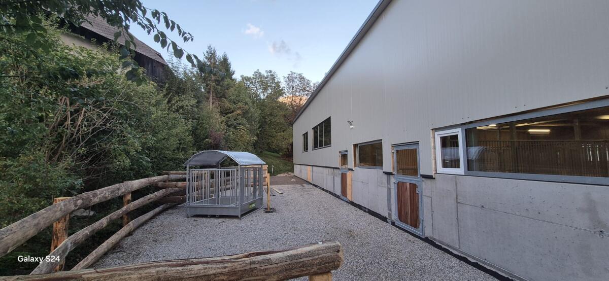 Pferde Einstellplatz - Villach 1