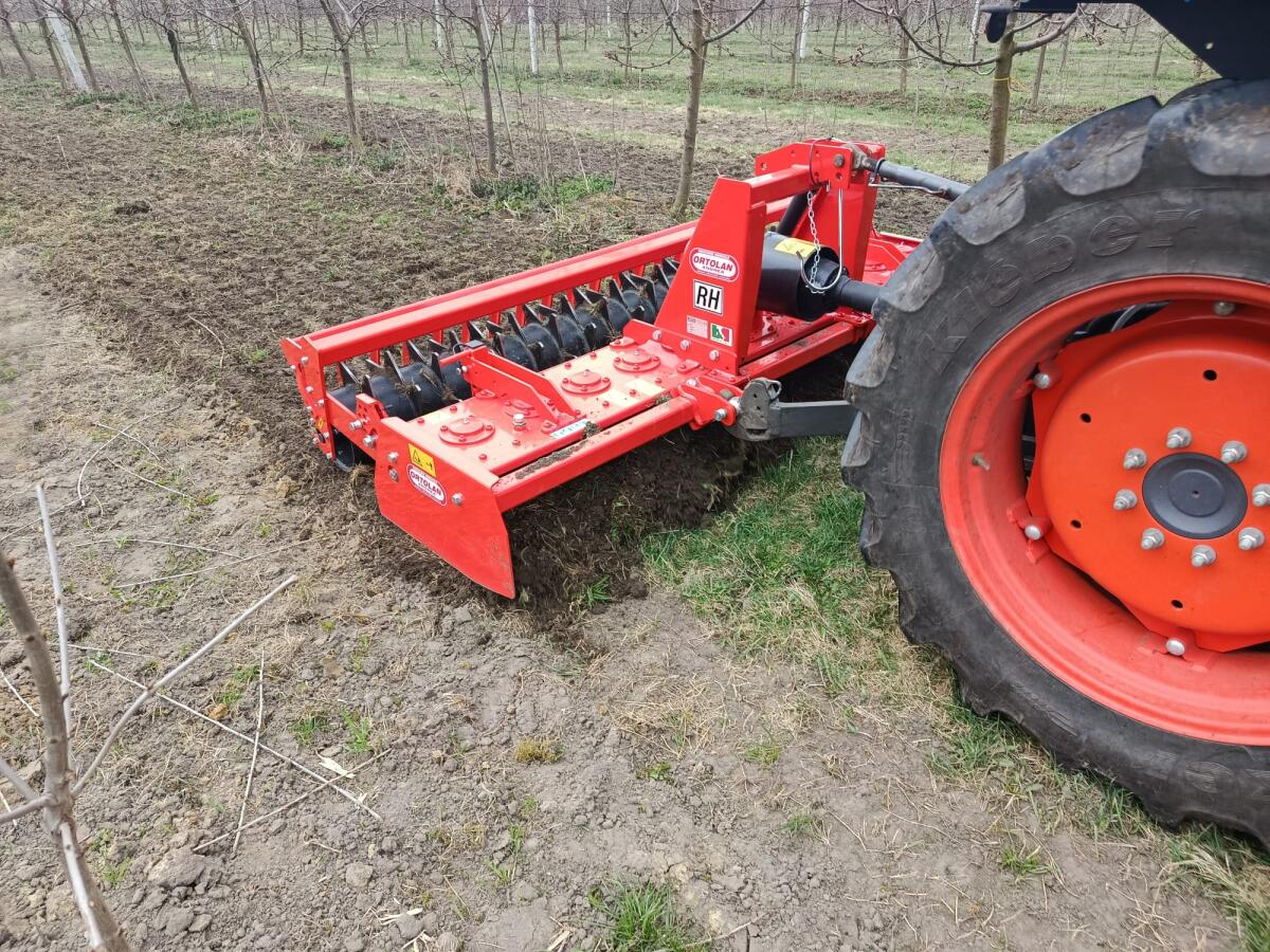 Kreiselegge Ortolan RH 170 mit Packerwalze 2