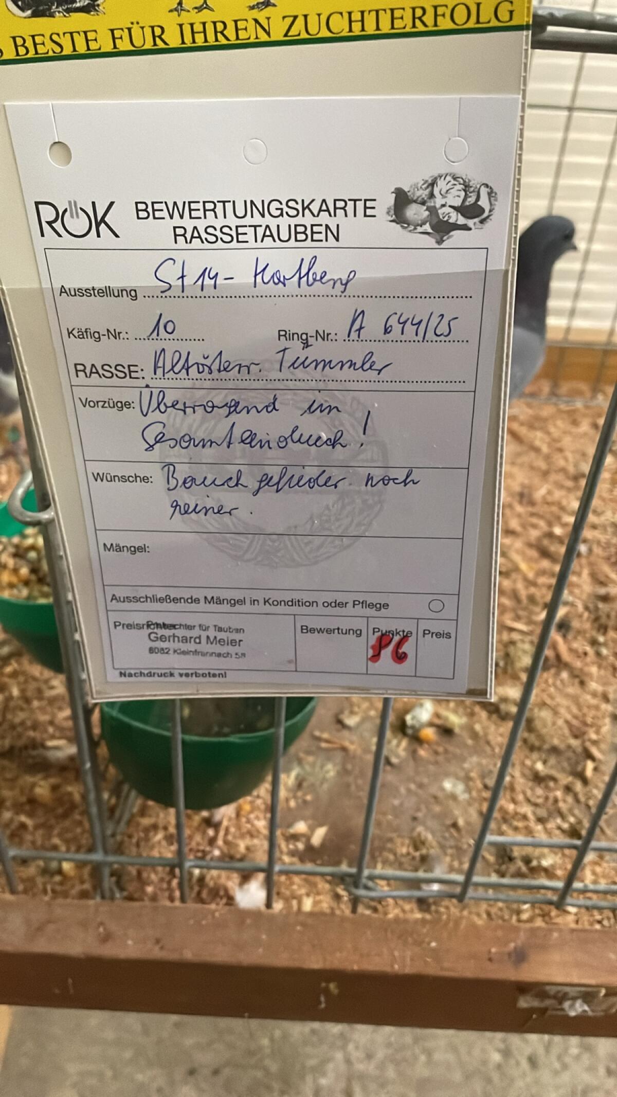 Altösterreichische Kiebitz 1