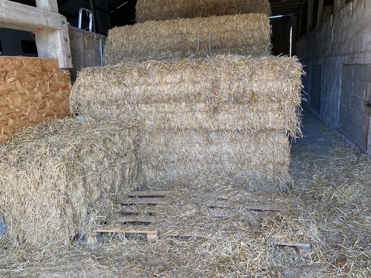 Stroh zu verkaufen 1