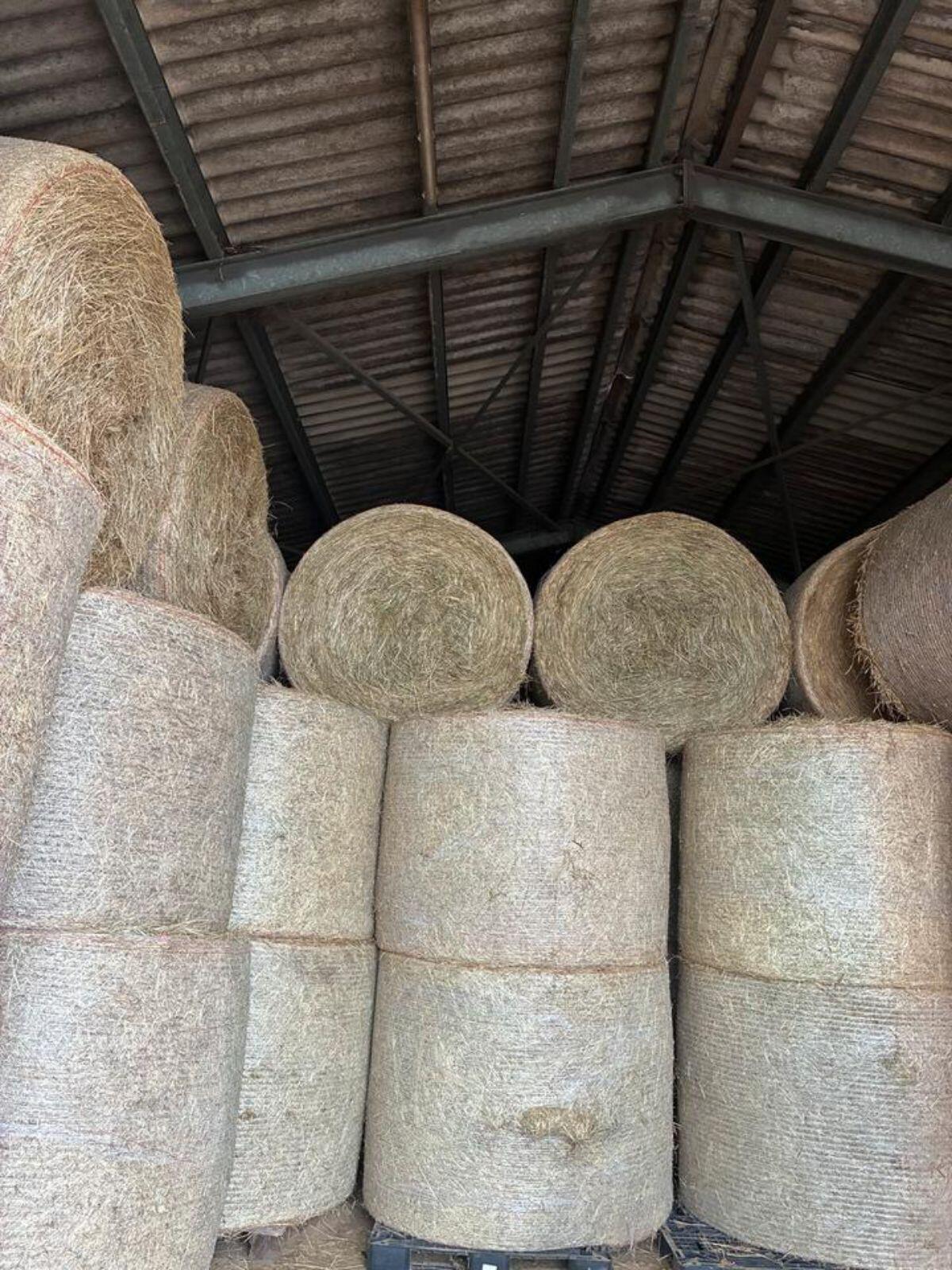 Heuballen 1. Schnitt 2025 2