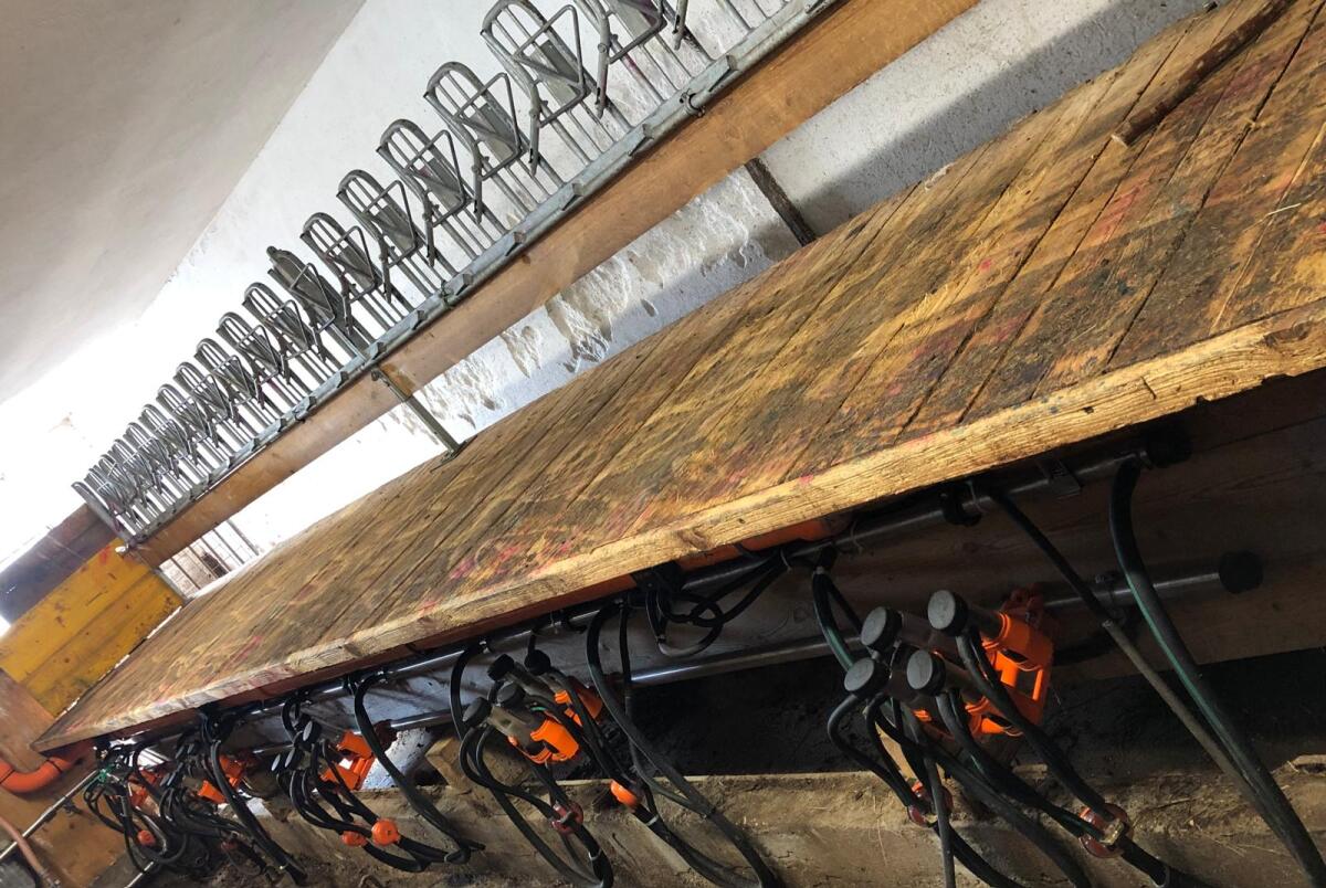 Köhler Melkstandaufbau Ziegen/Schafe Melkstand 3