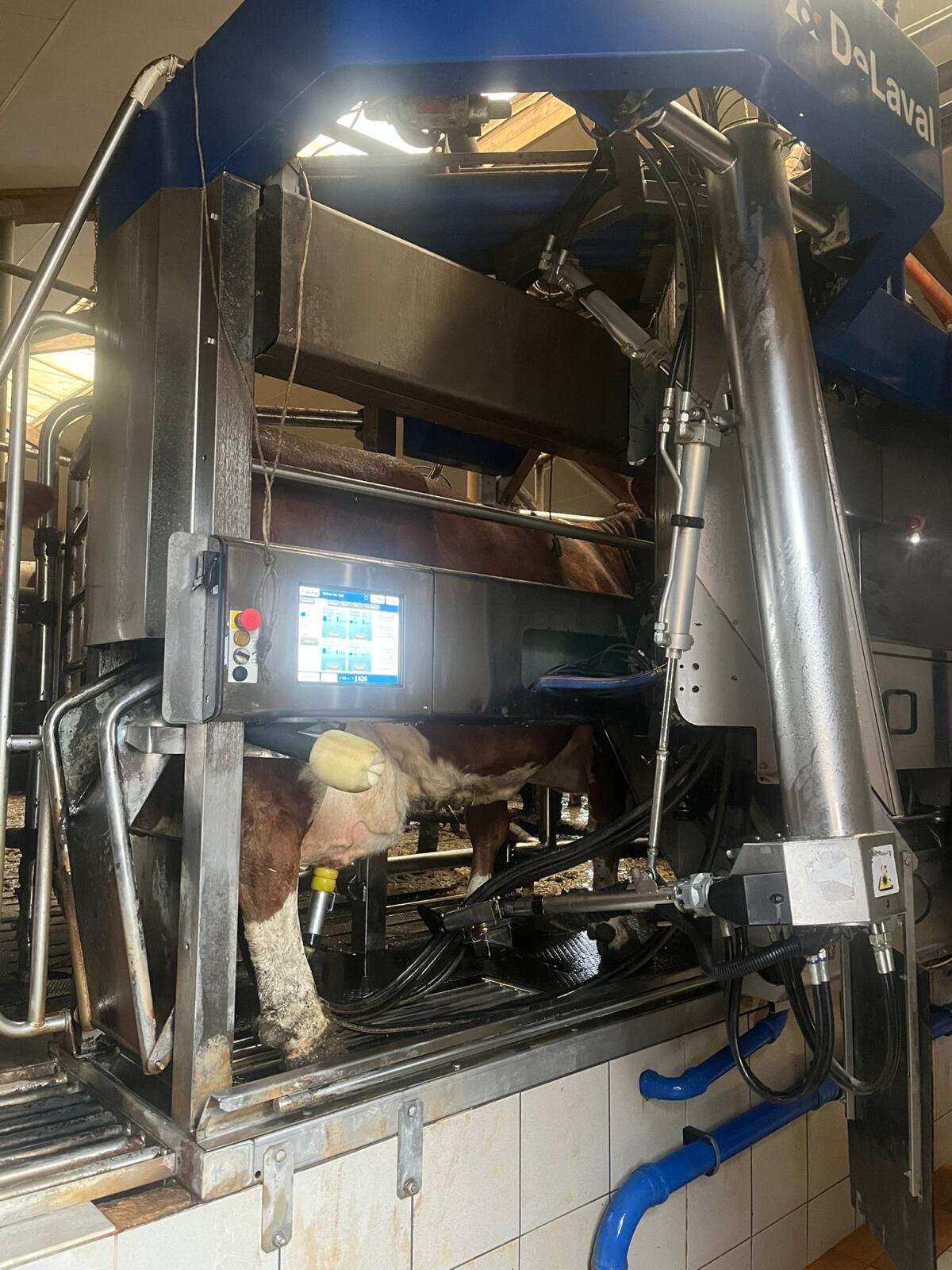 Melkroboter Delaval 1