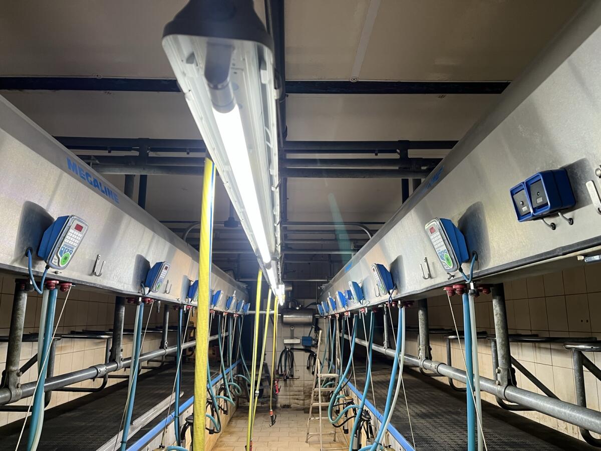 Melkstand Doppel 8 FG 1