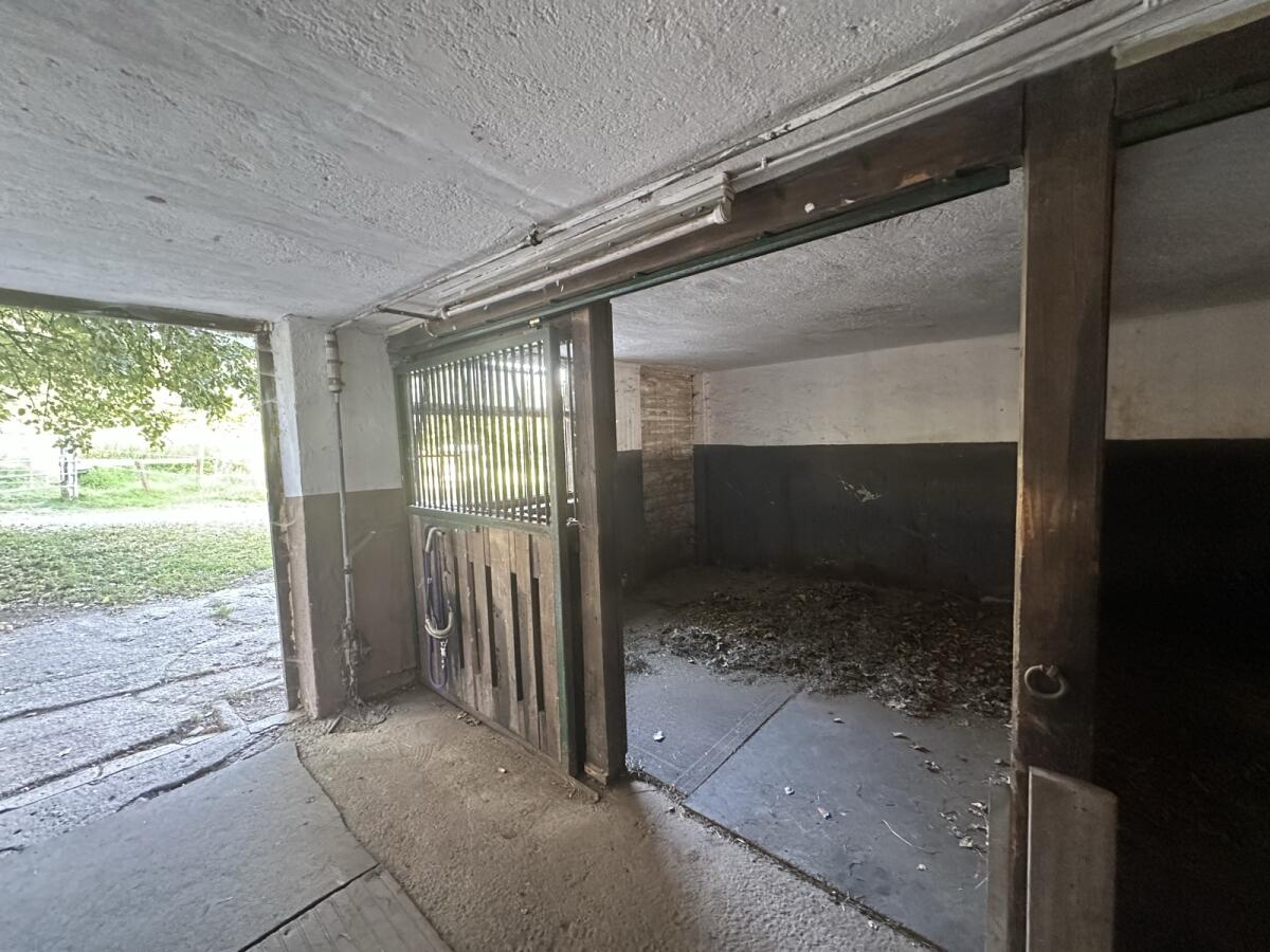 Pferd Einstellplatz 2