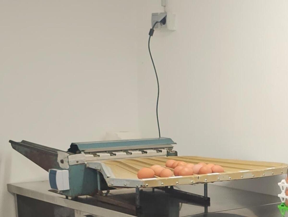 Eiersortiermaschine Moba Mobanette 2