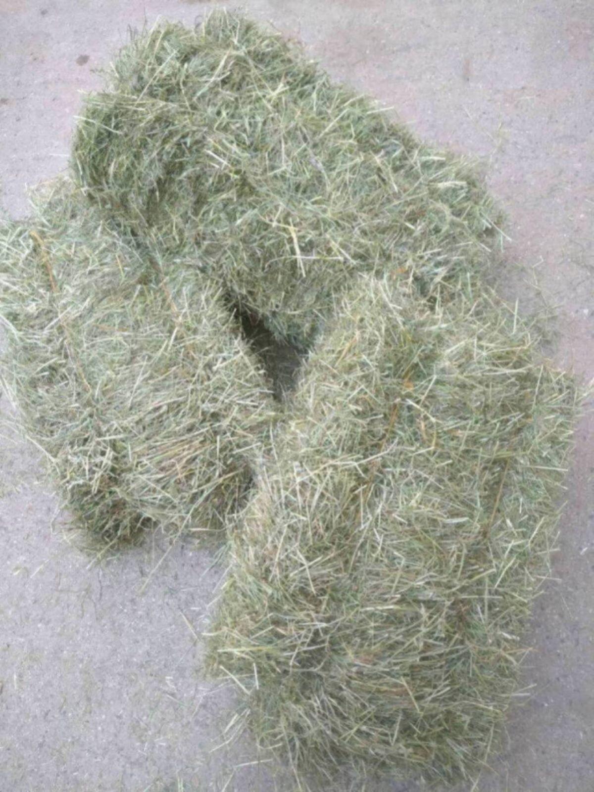 Heu Kleinballen von glyphosatfreier Kleinlandwirtschaft 2