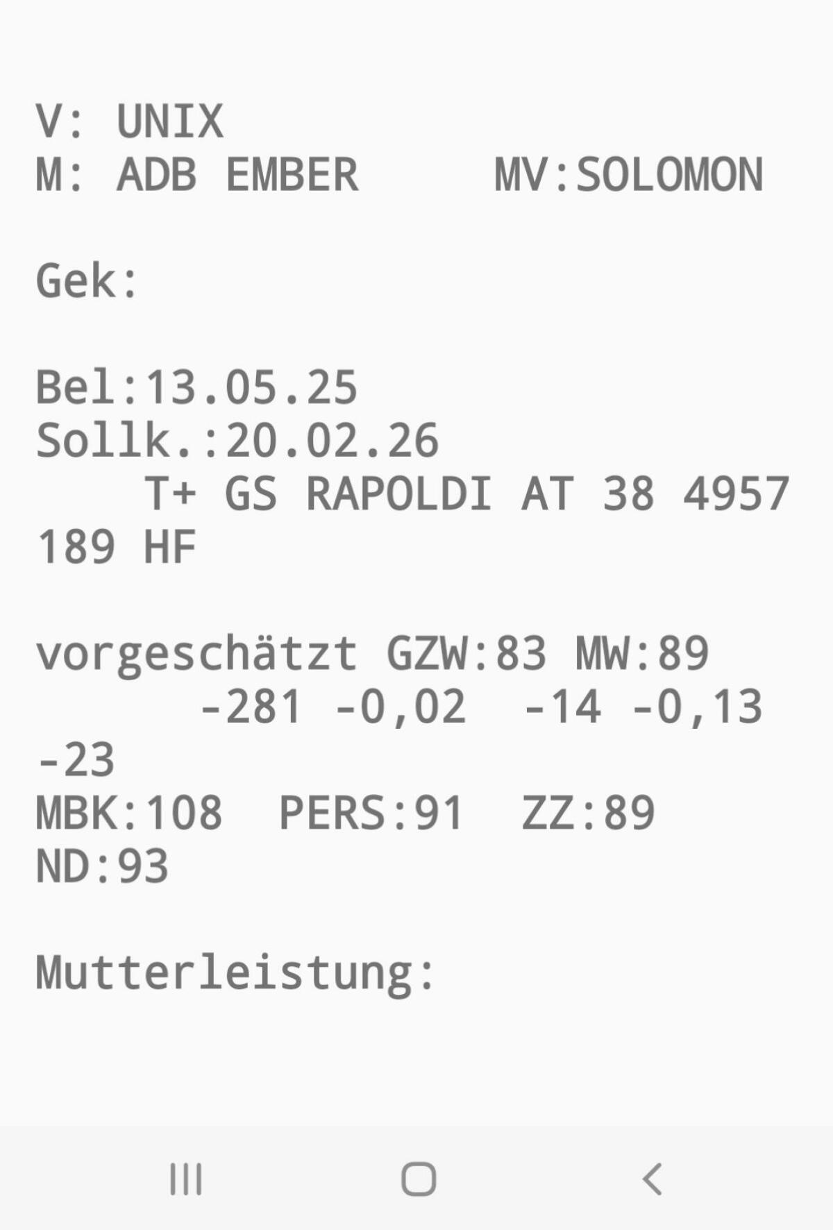 Holstein Bio Zuchtkalbinnen 3