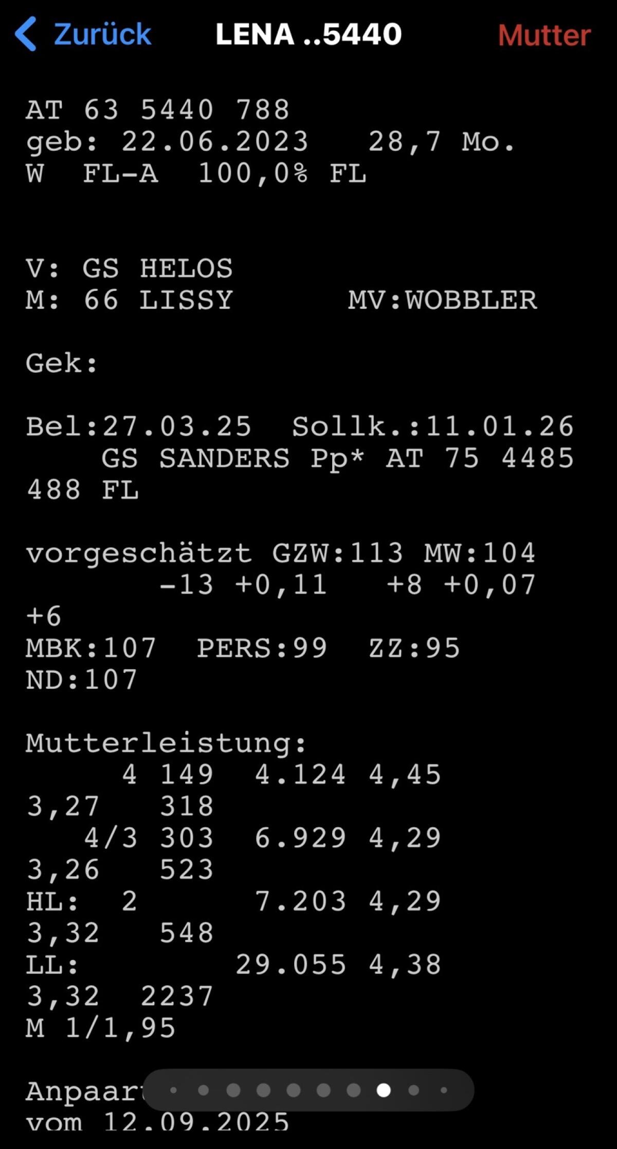 Verkaufe Fleckviehkalbin Bio, trächtig 3