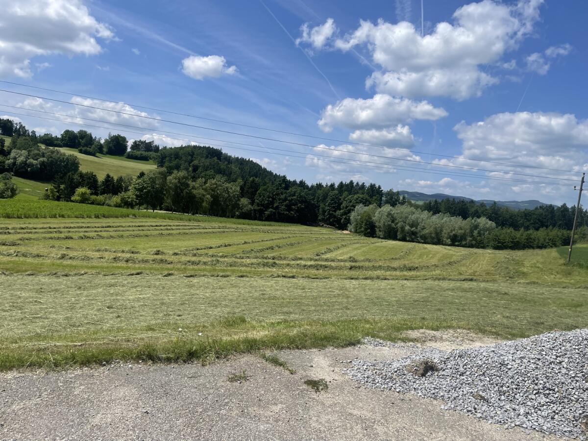 Bio Silageballen Rotklee 2