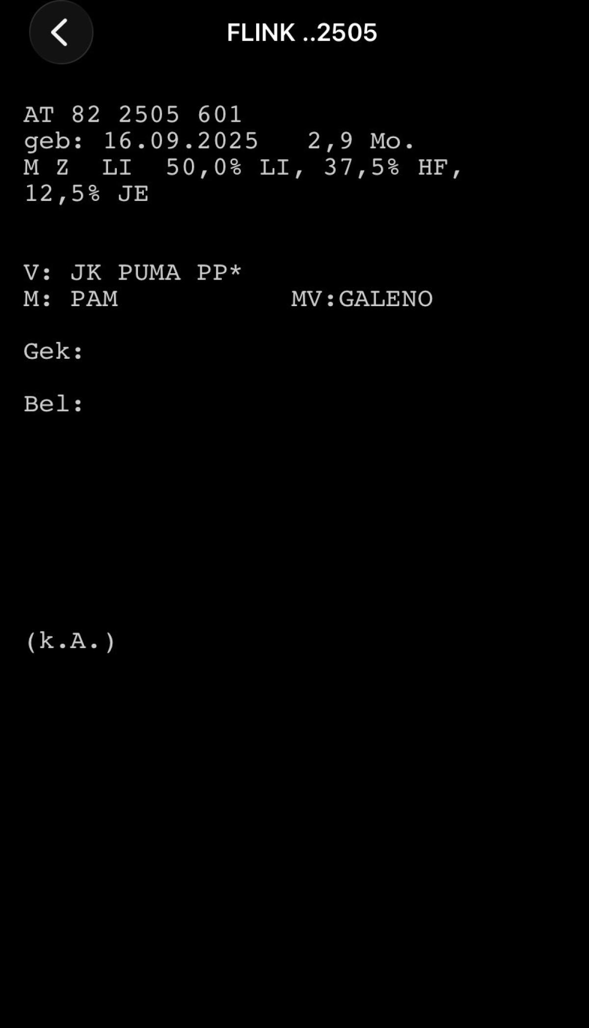 Limousinstierkälber zu verkaufen 3