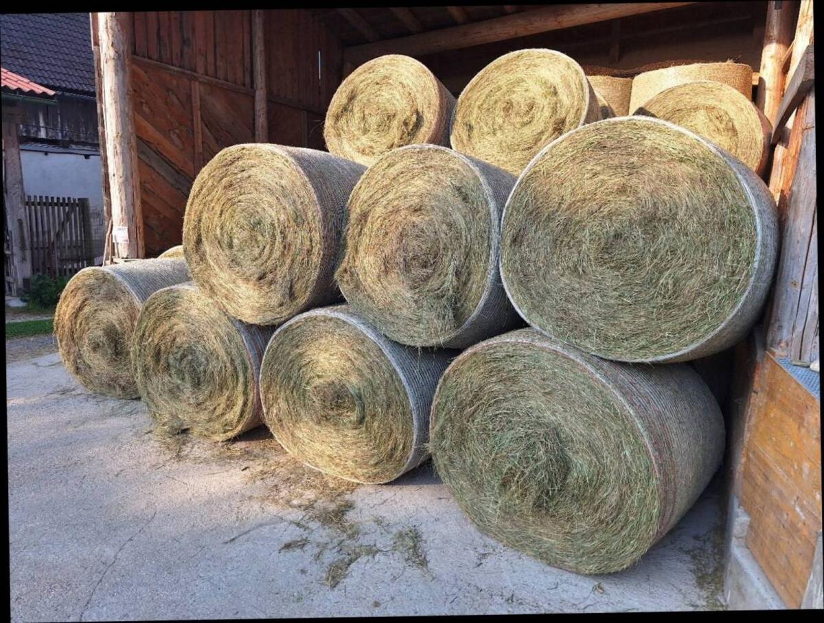 Bio-Grummetballen 2. Schnitt 2