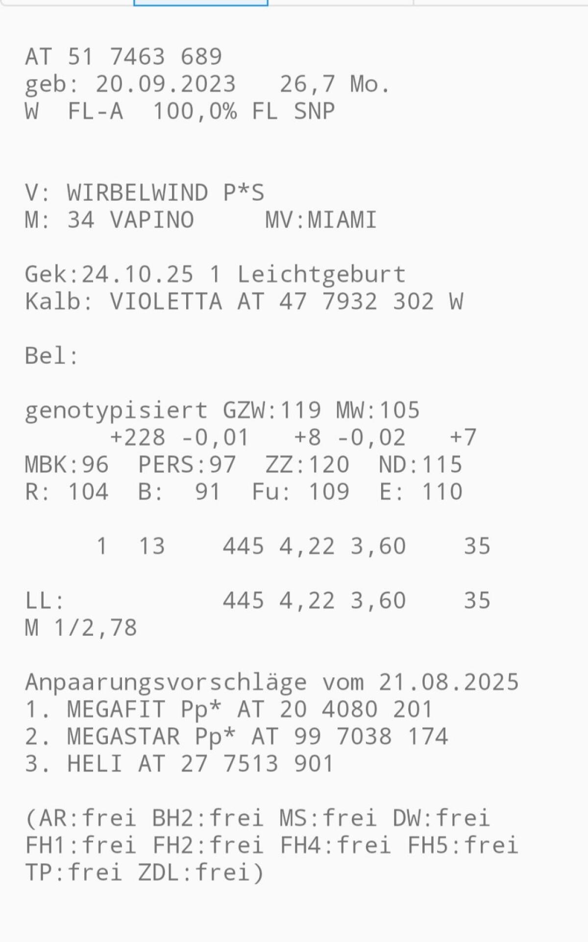 Jungkuh 3-gestrichen 27 kg Milch 2