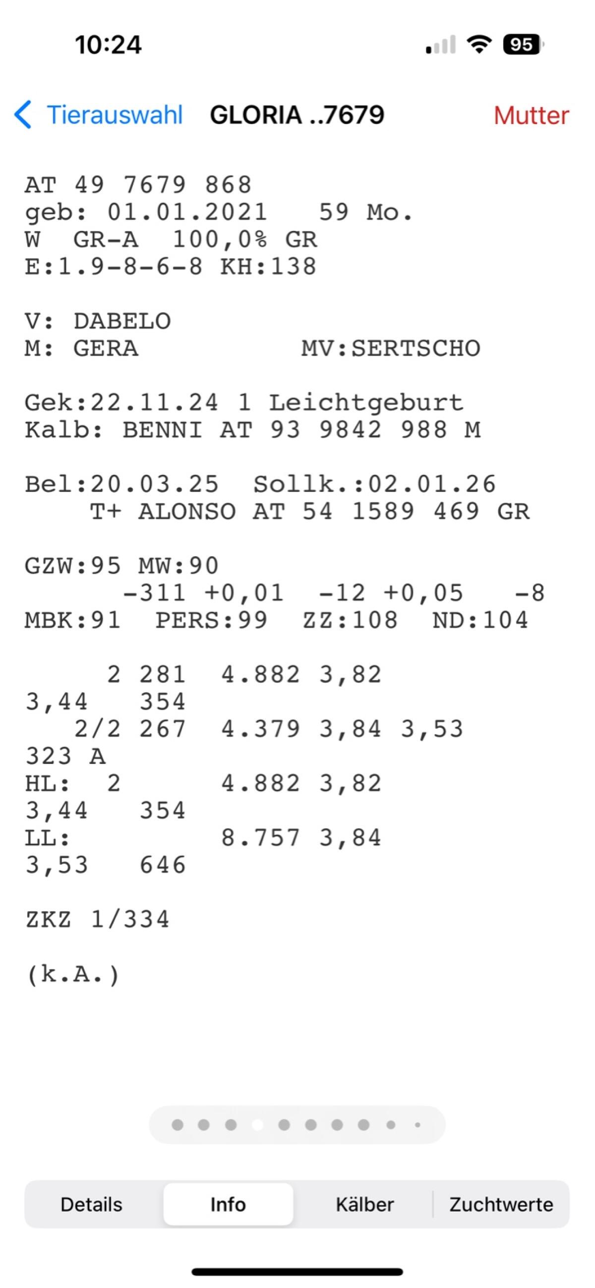 Verkaufe Grauviehkuh 1