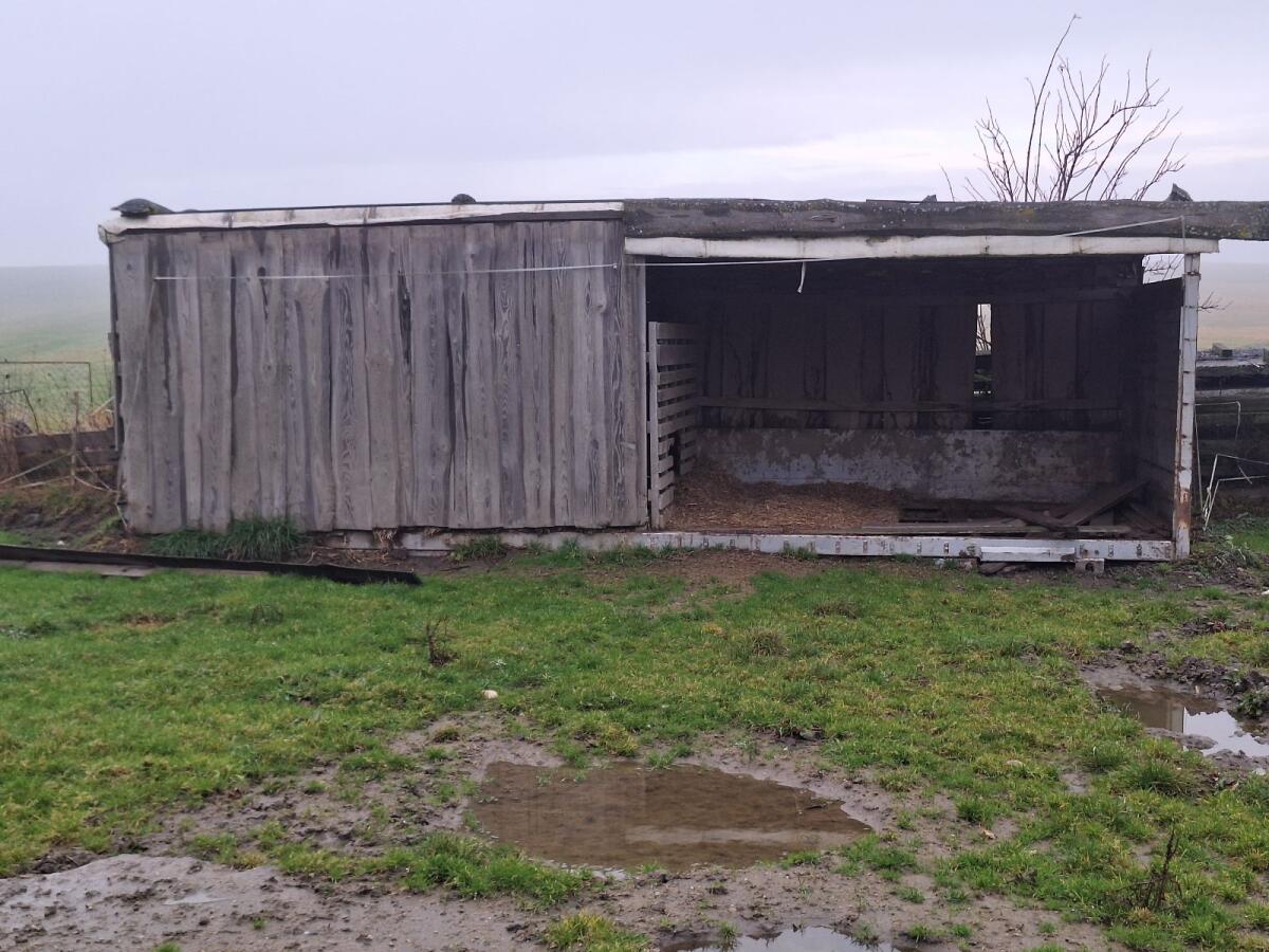 Koppel Weide Auslauf 3