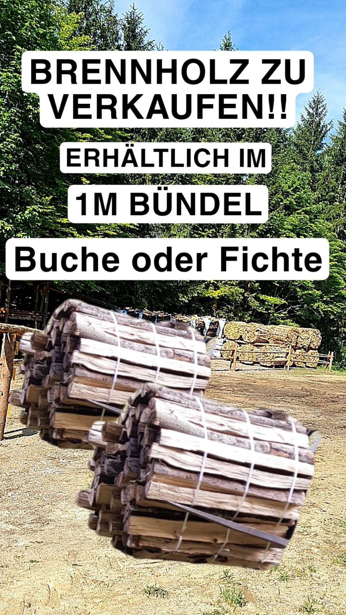 Brennholz im 1 m Bund 1