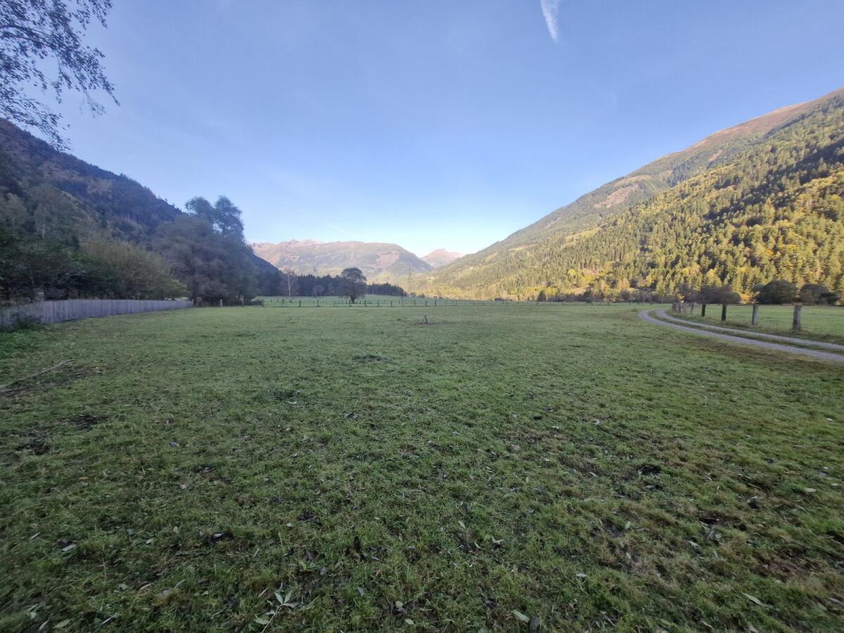 Landwirtschaftliche Nutzfläche 1