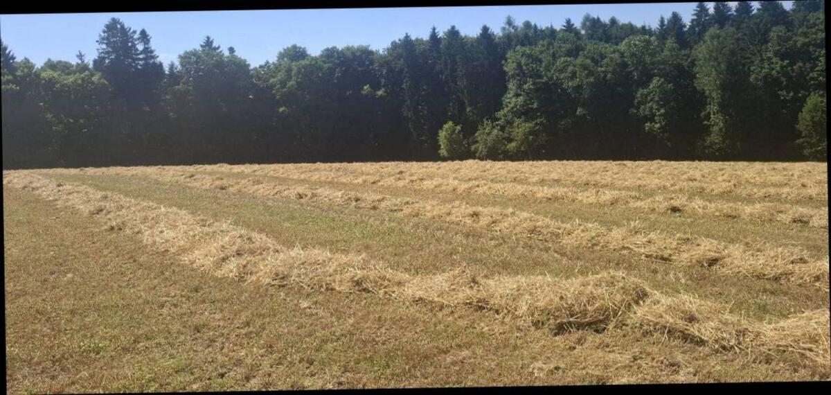 Bio Strohrundballen 2