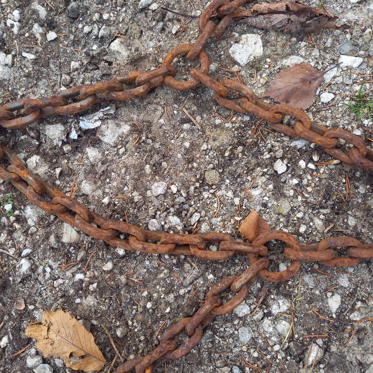 Traktor-LKW Ketten 1