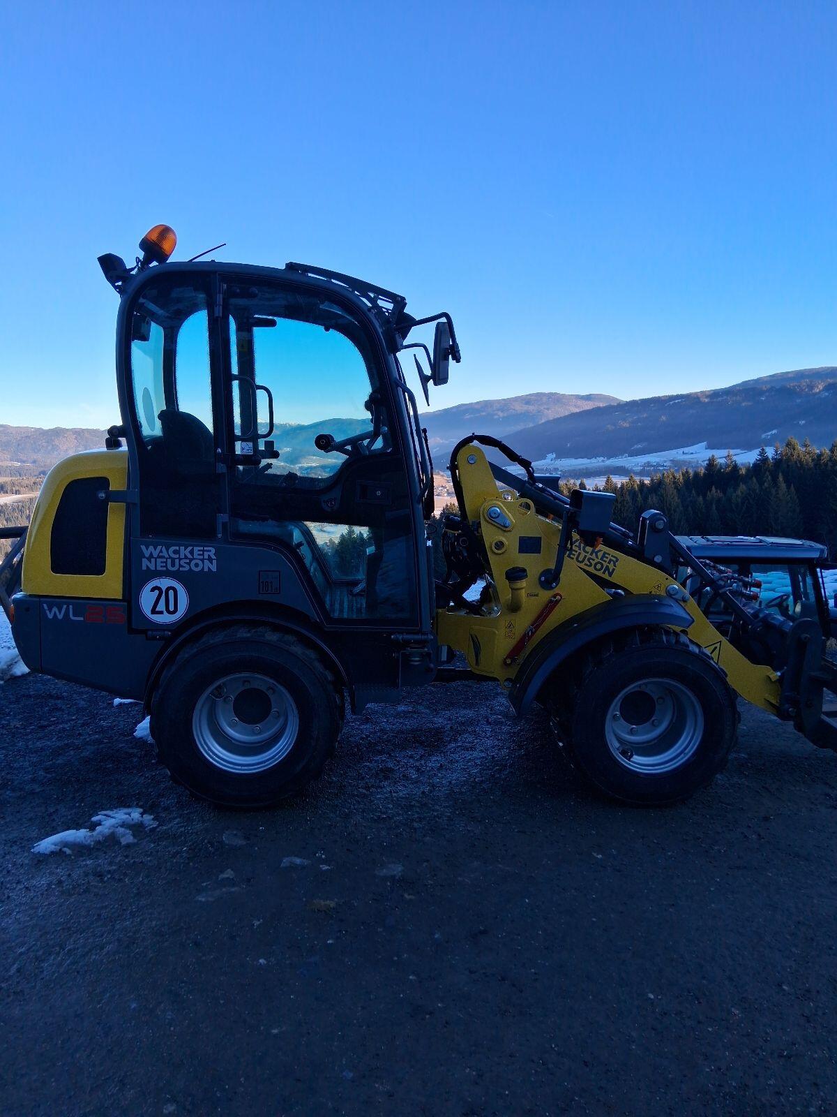 Weidemann 1280 Wacker WL 25 3