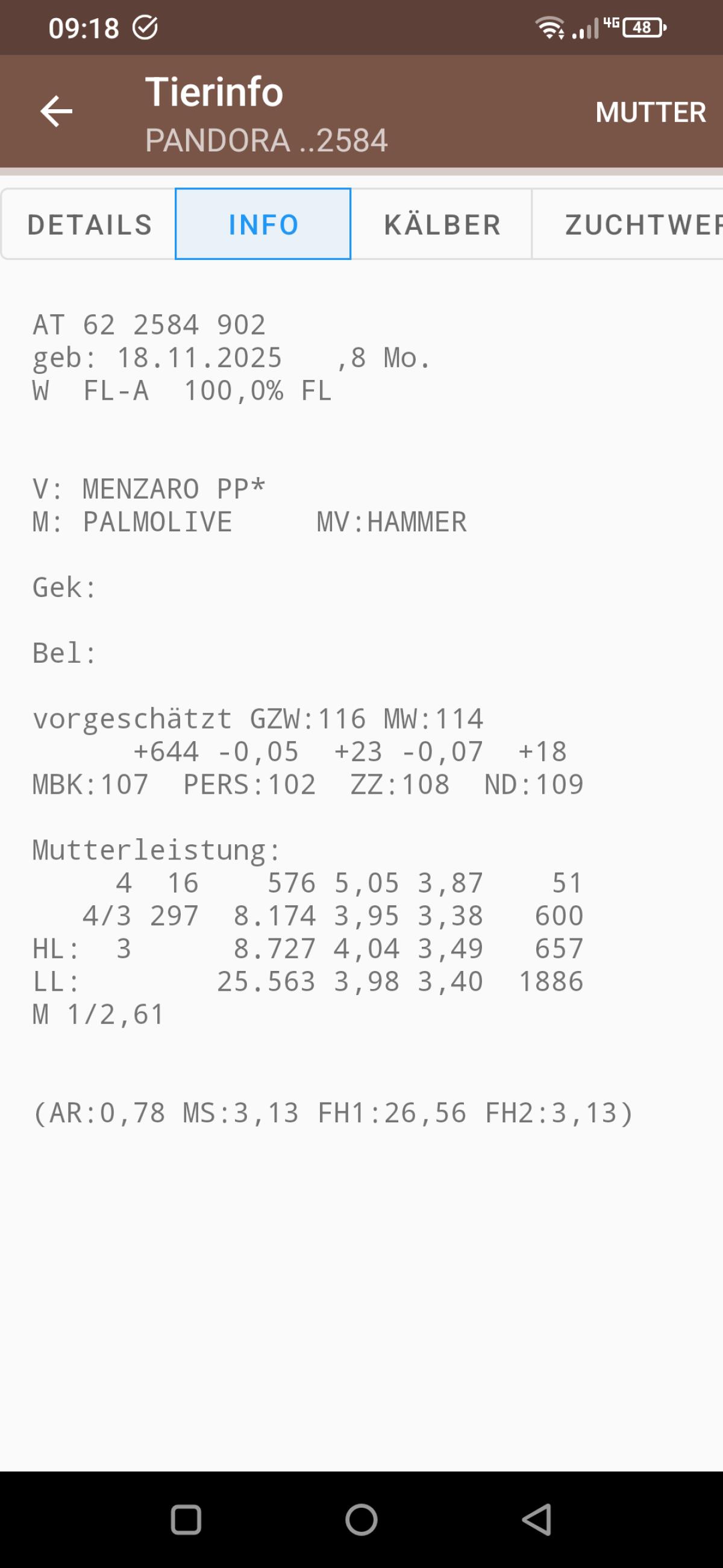 Fleckvieh Zuchtkalb 2