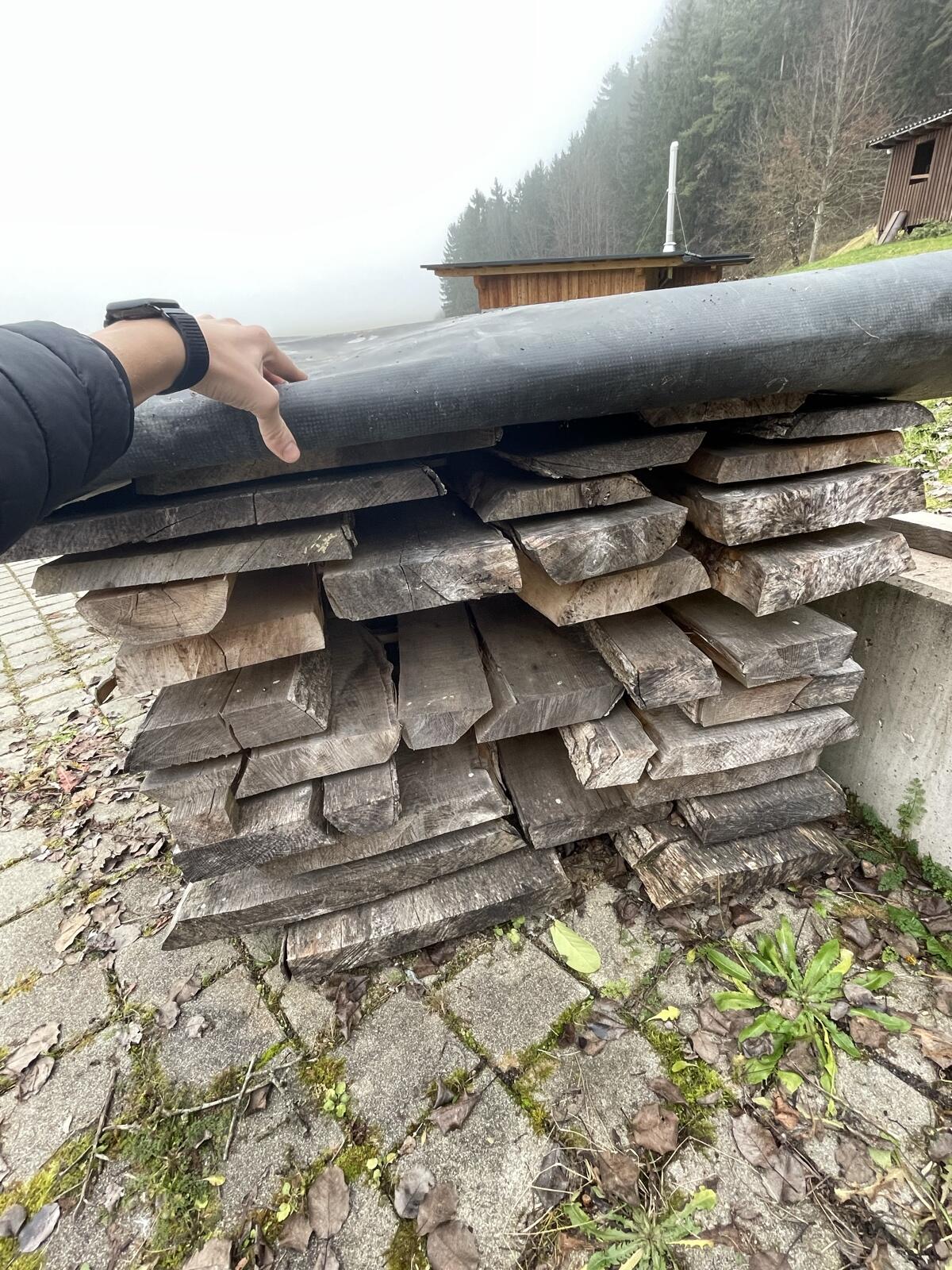 Ahorn-Eschenpfosten 2