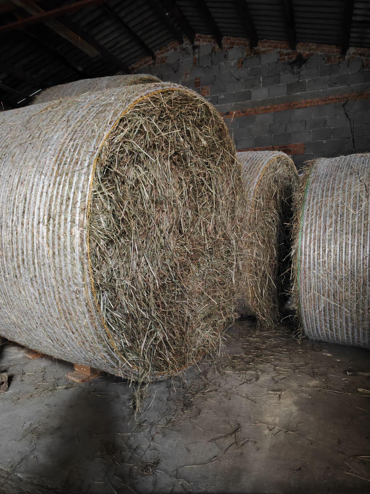 Heuballen, 2. Schnitt 2