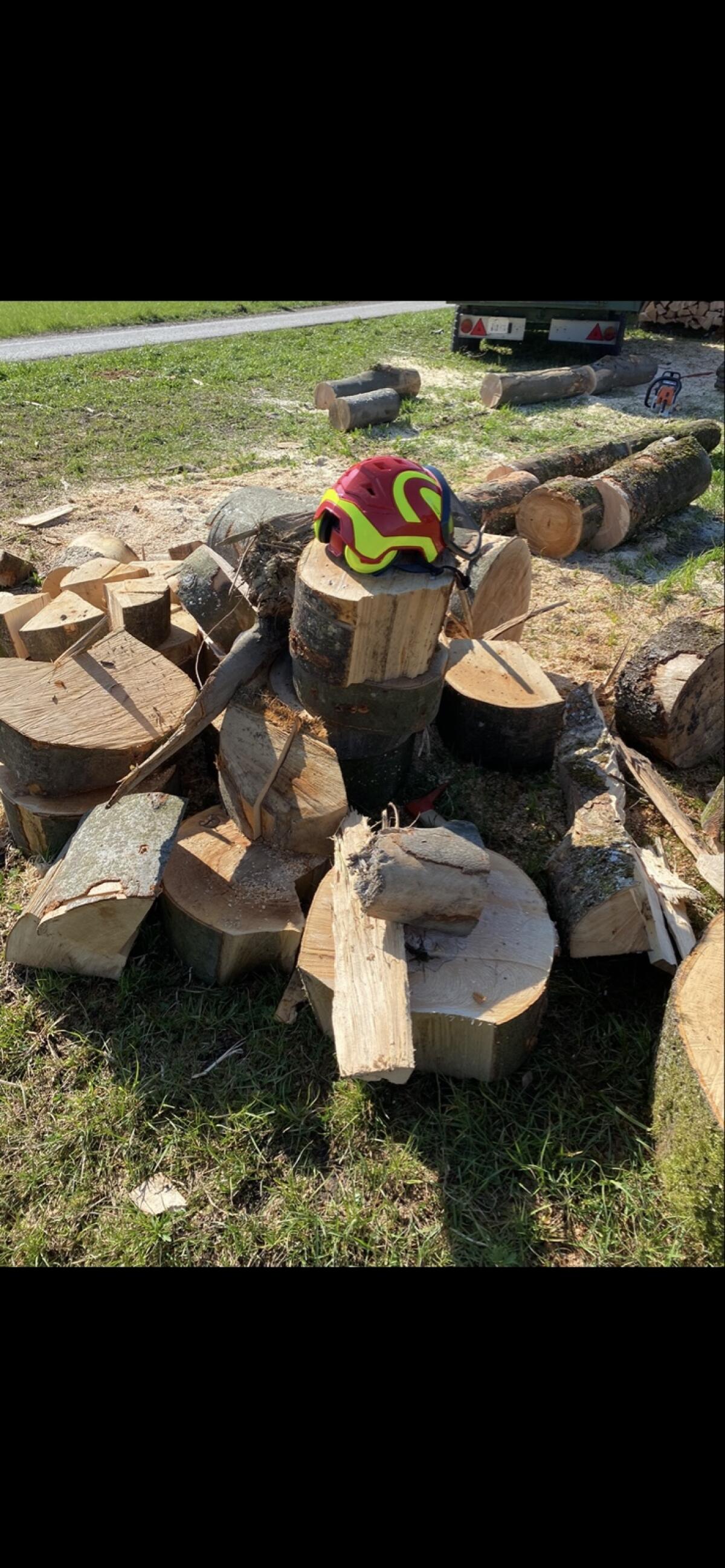 Forstunternehmen Rebenklauber 2