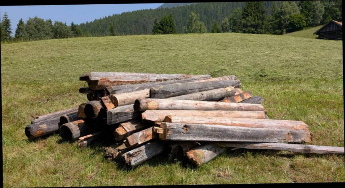 Rundholzbalken von Feldstadl 2