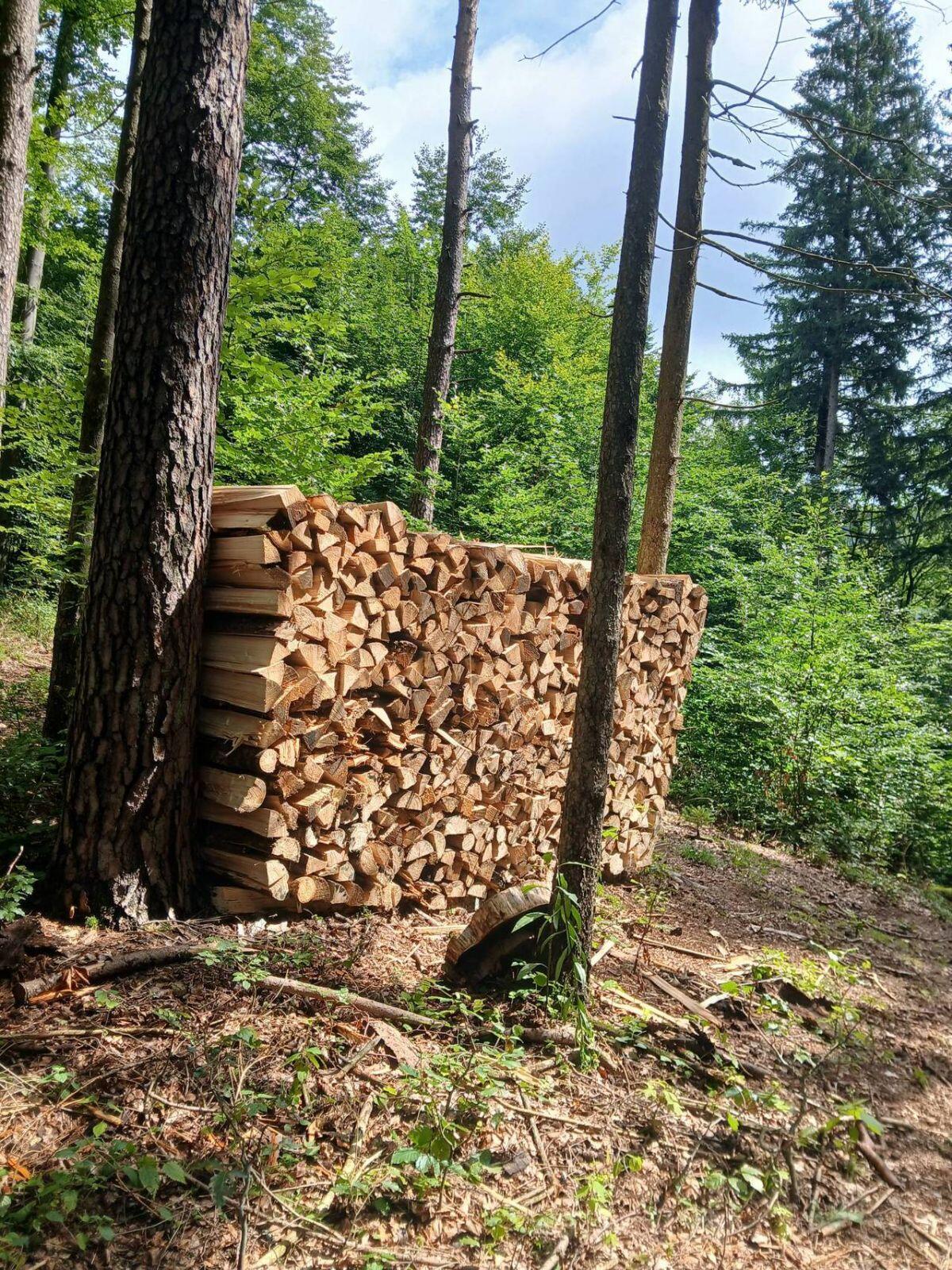 Brennholz, Scheitholz 2