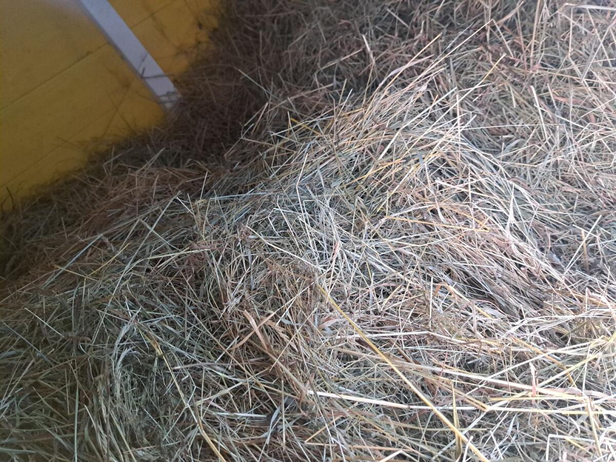 Verkaufe Heu Ersterschnitt 2025 1