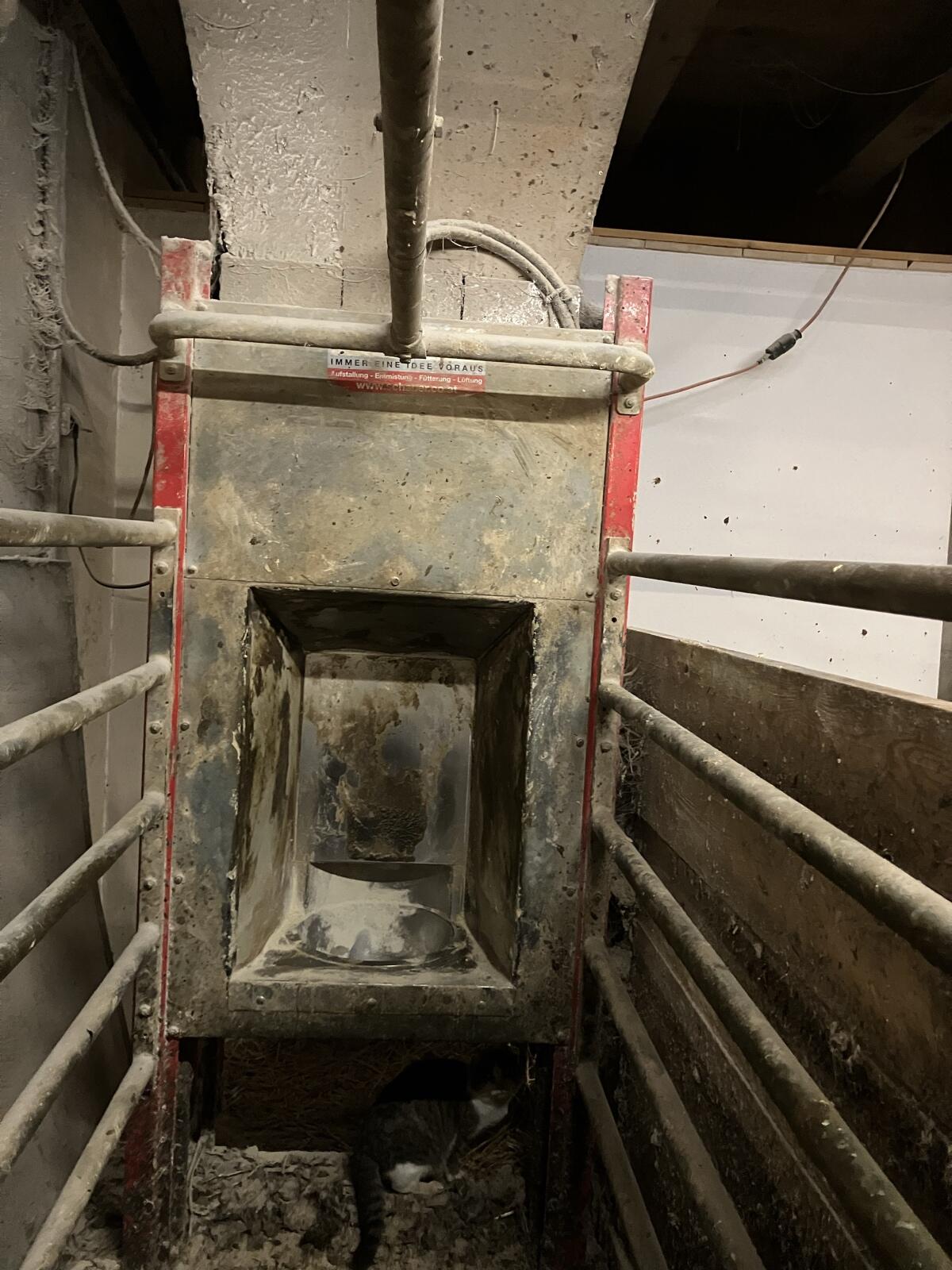 Schauer Futterstation 3