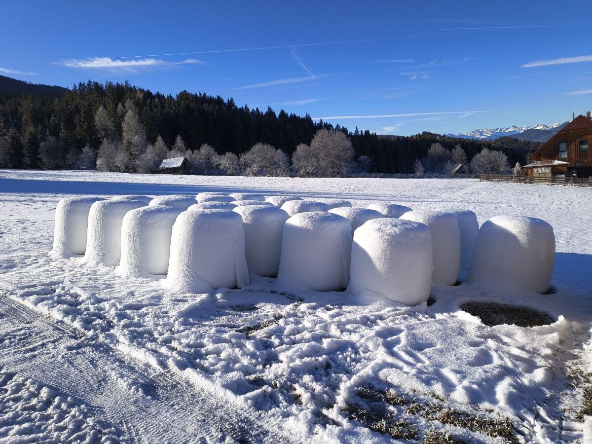 Bio Silomaisballen 3