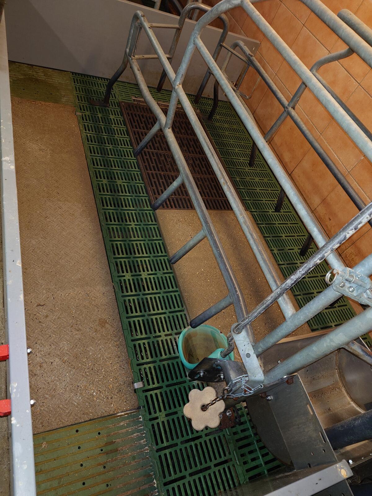 Verkaufe Abferkelbucht 1