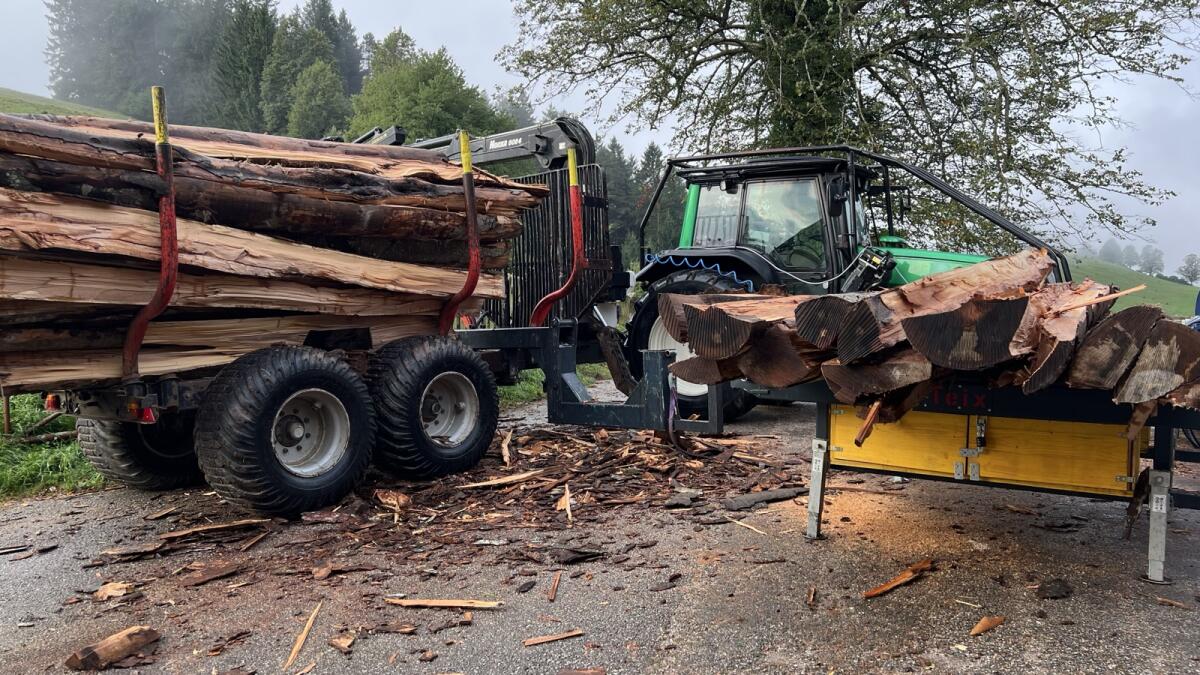 Zuführtisch/Fördertisch für Sägespaltautomat 3